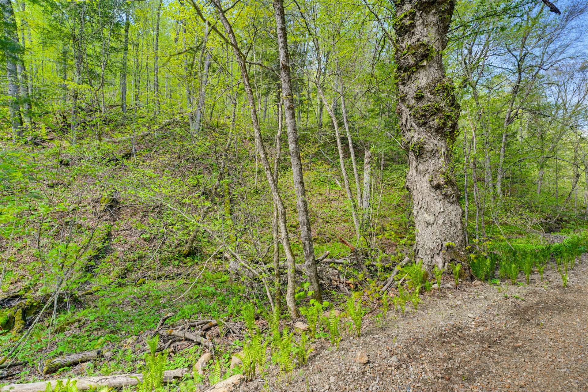 Land/Lot