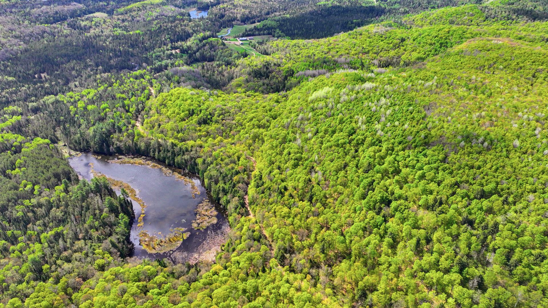 Aerial photo