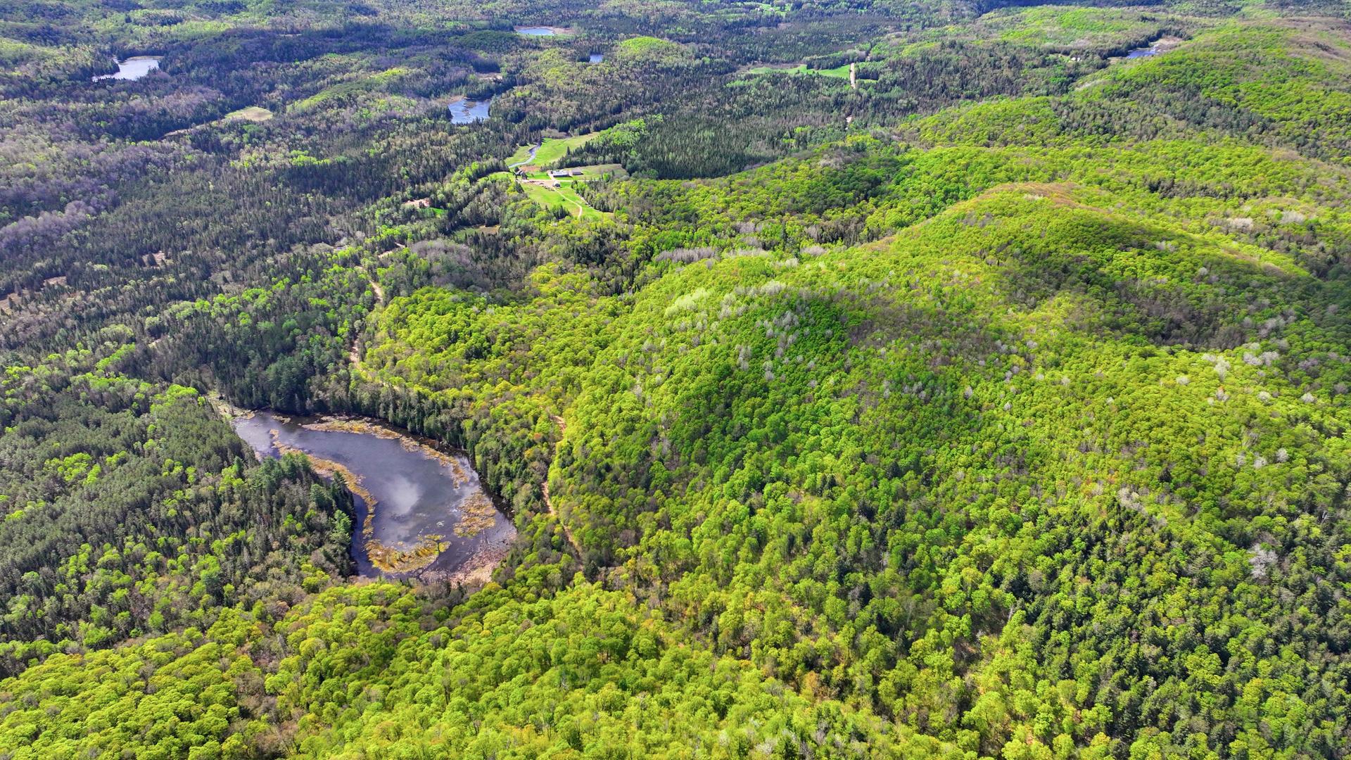 Aerial photo