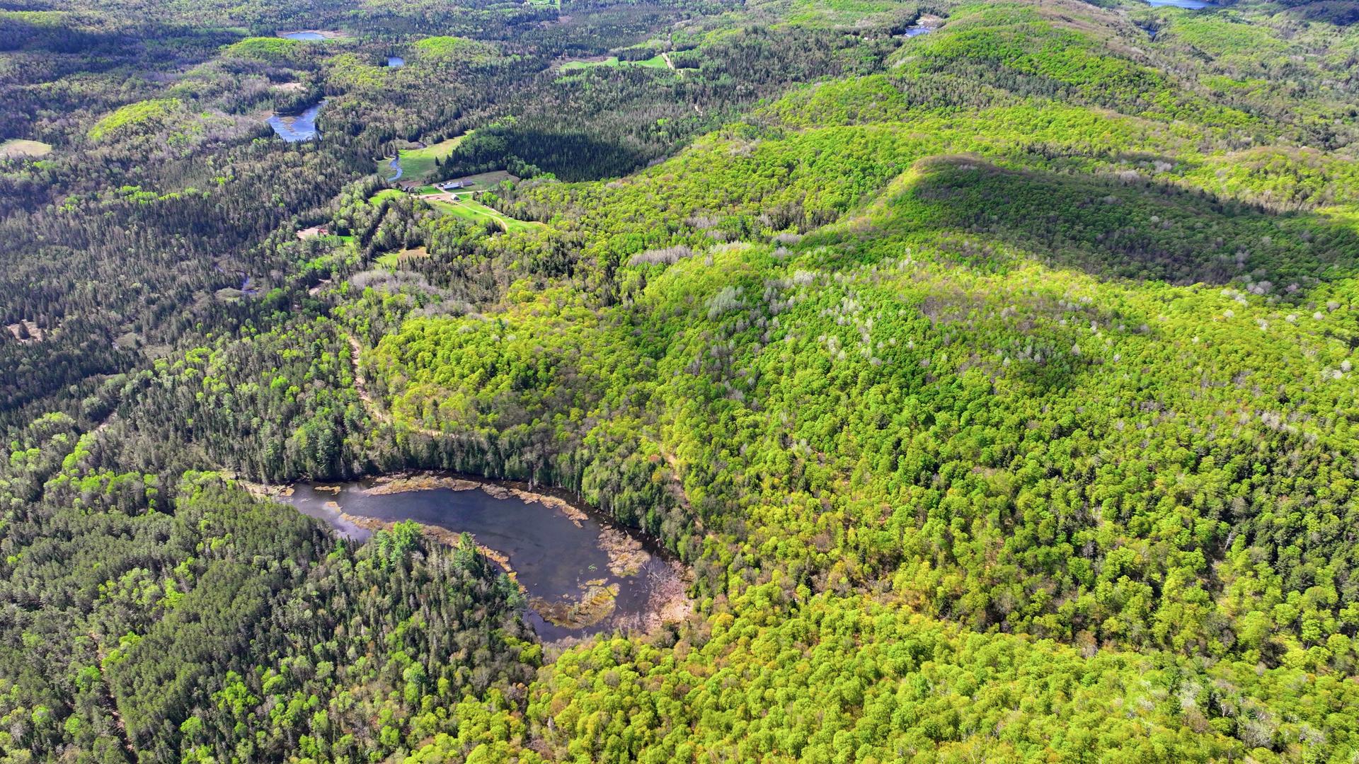 Aerial photo