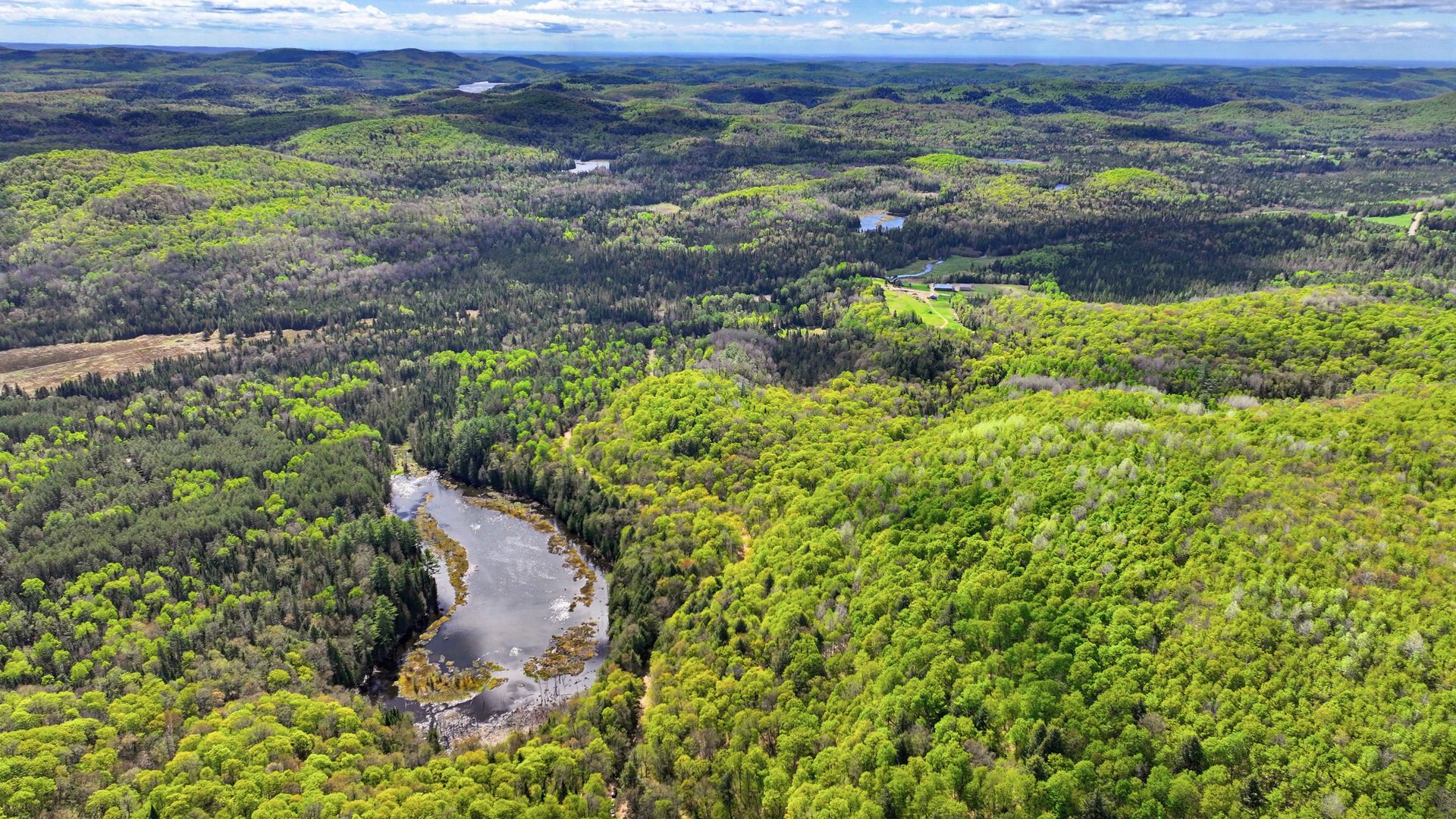 Aerial photo