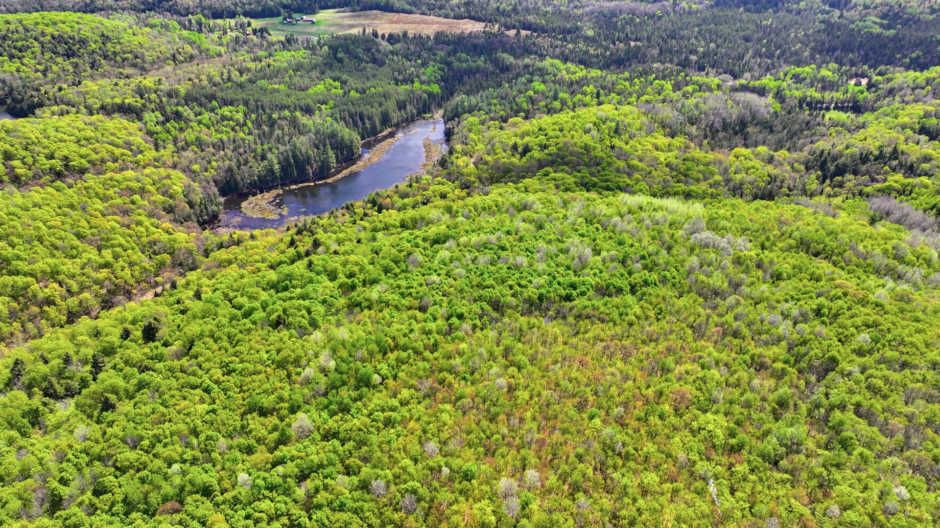 Aerial photo