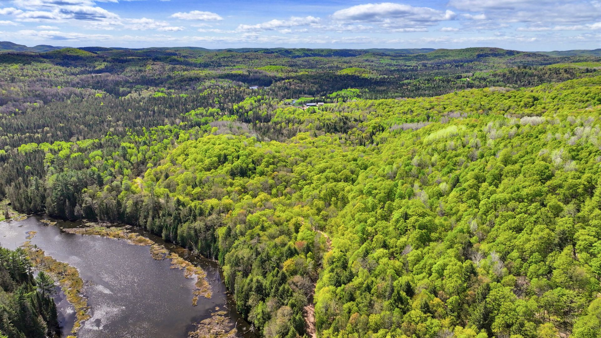 Aerial photo