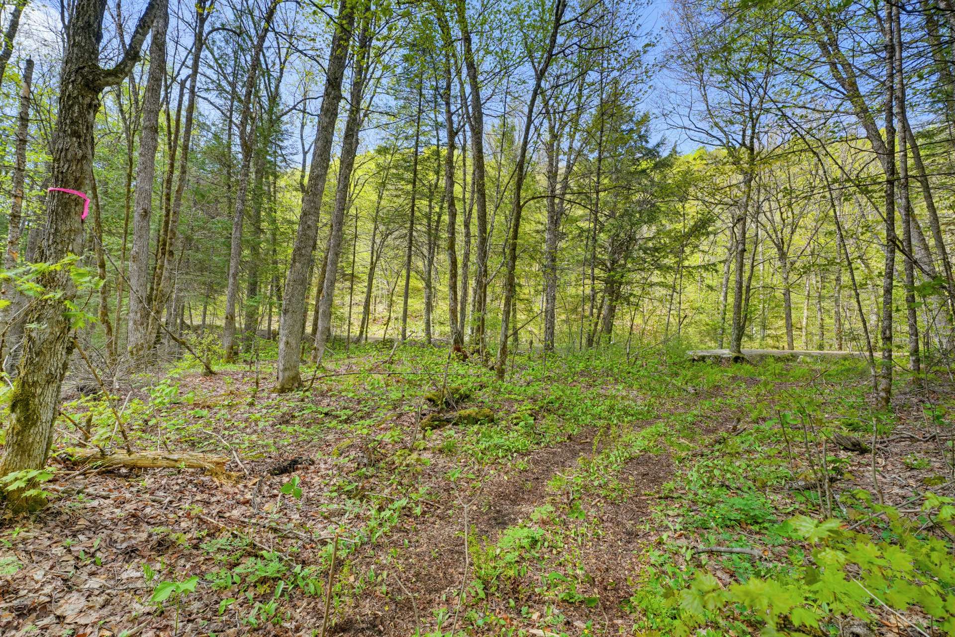 Land/Lot