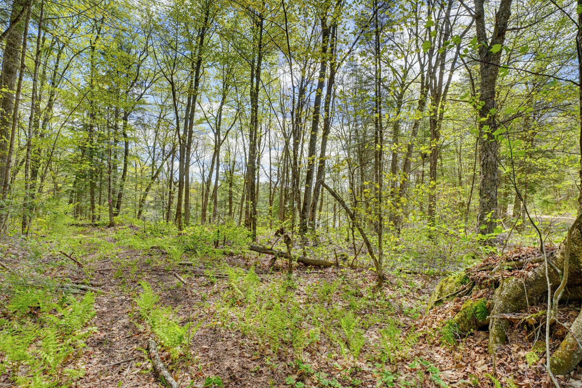 Land/Lot