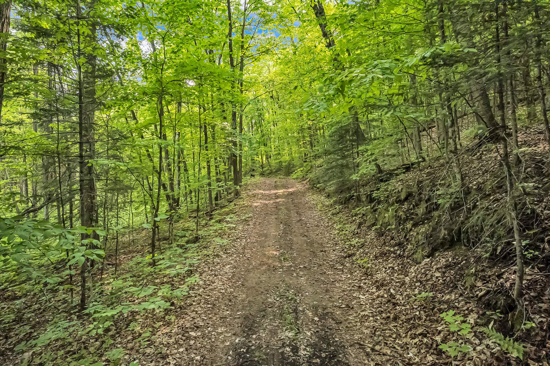 Other - Private road to access the land