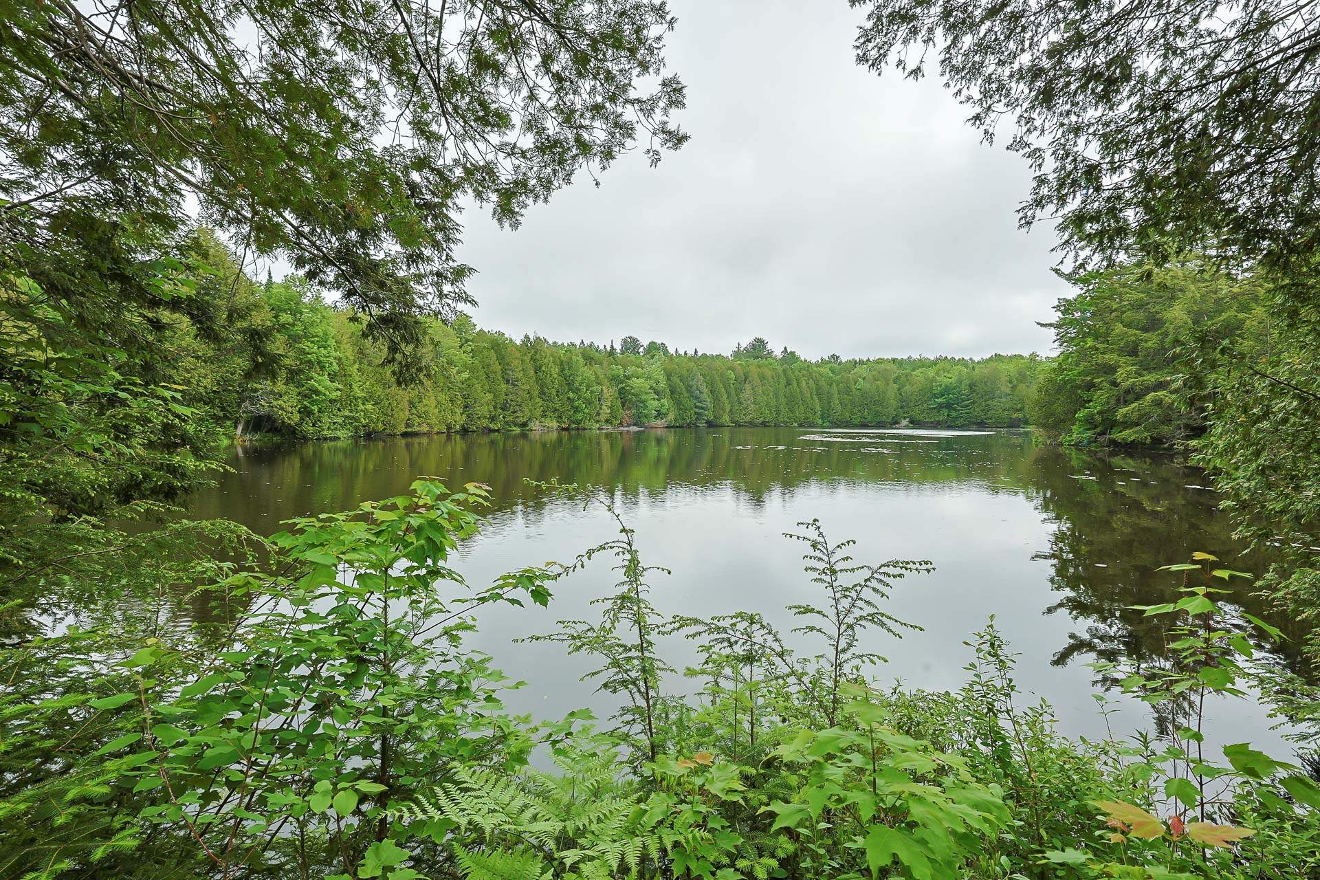 Vue sur l'eau