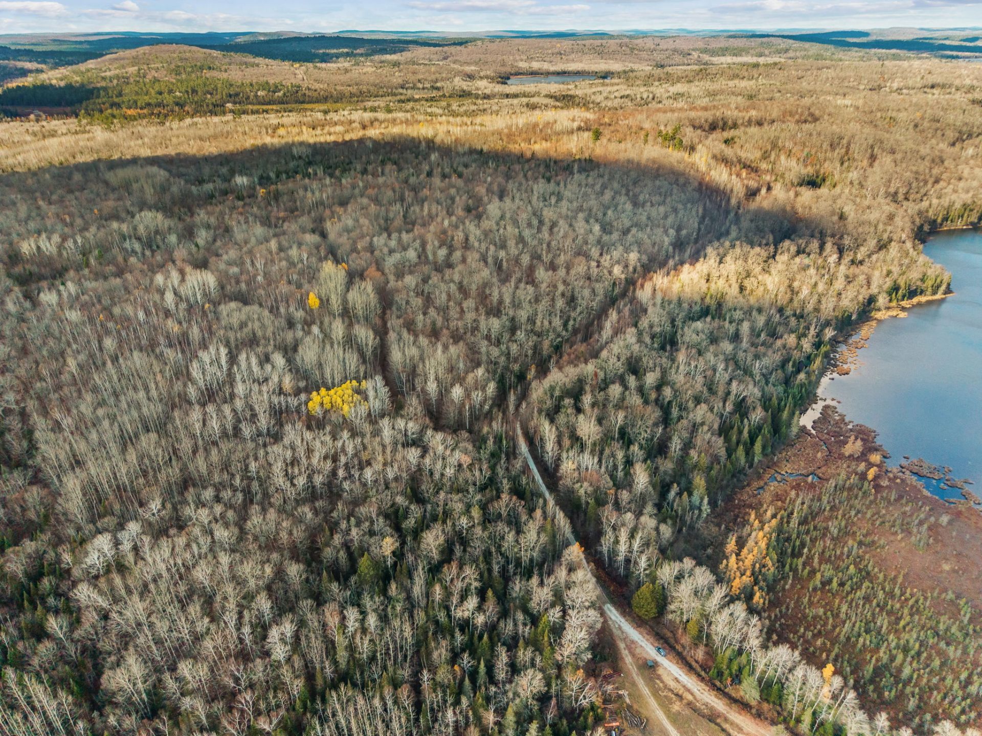 Aerial photo