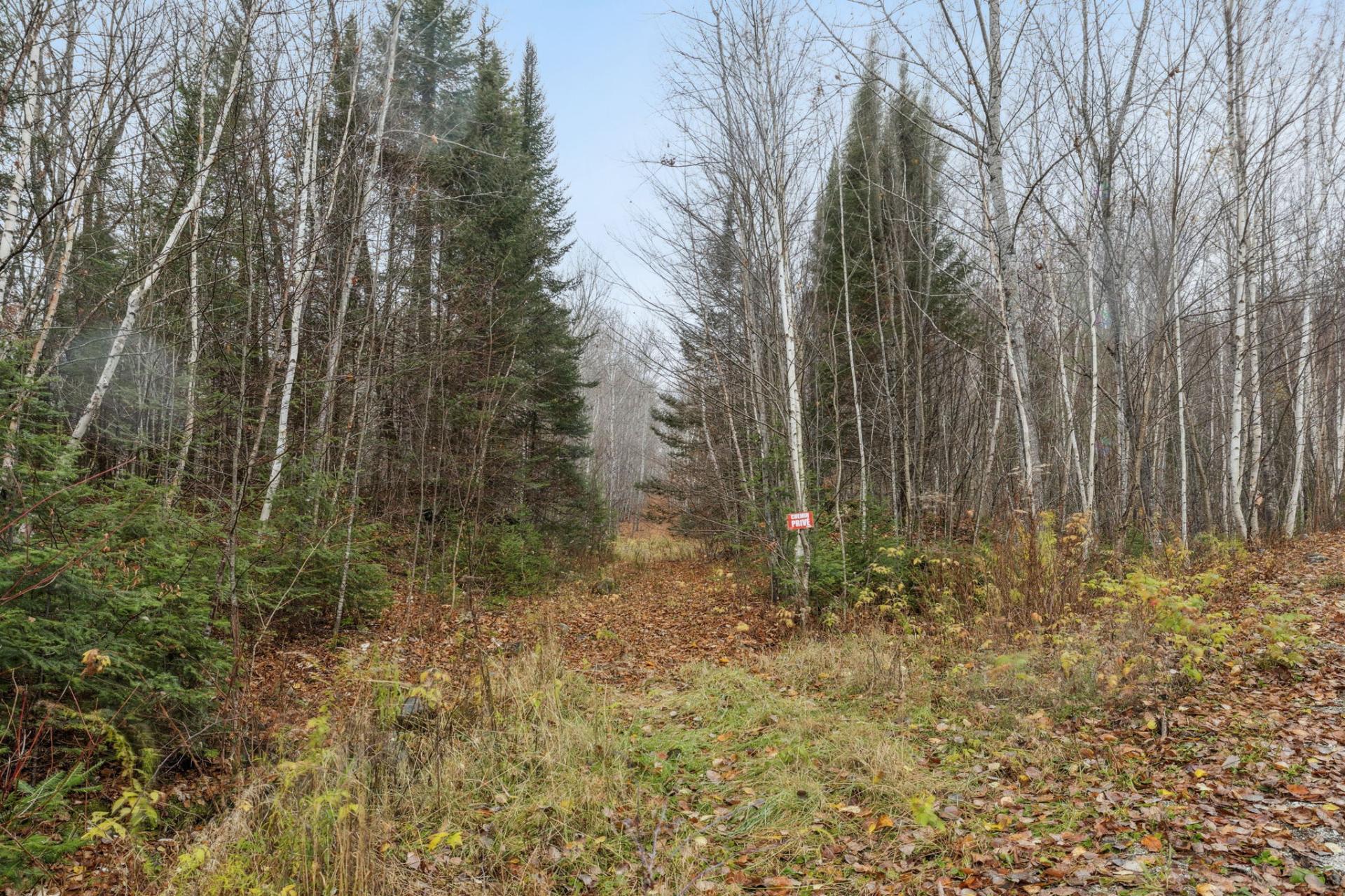 Land/Lot