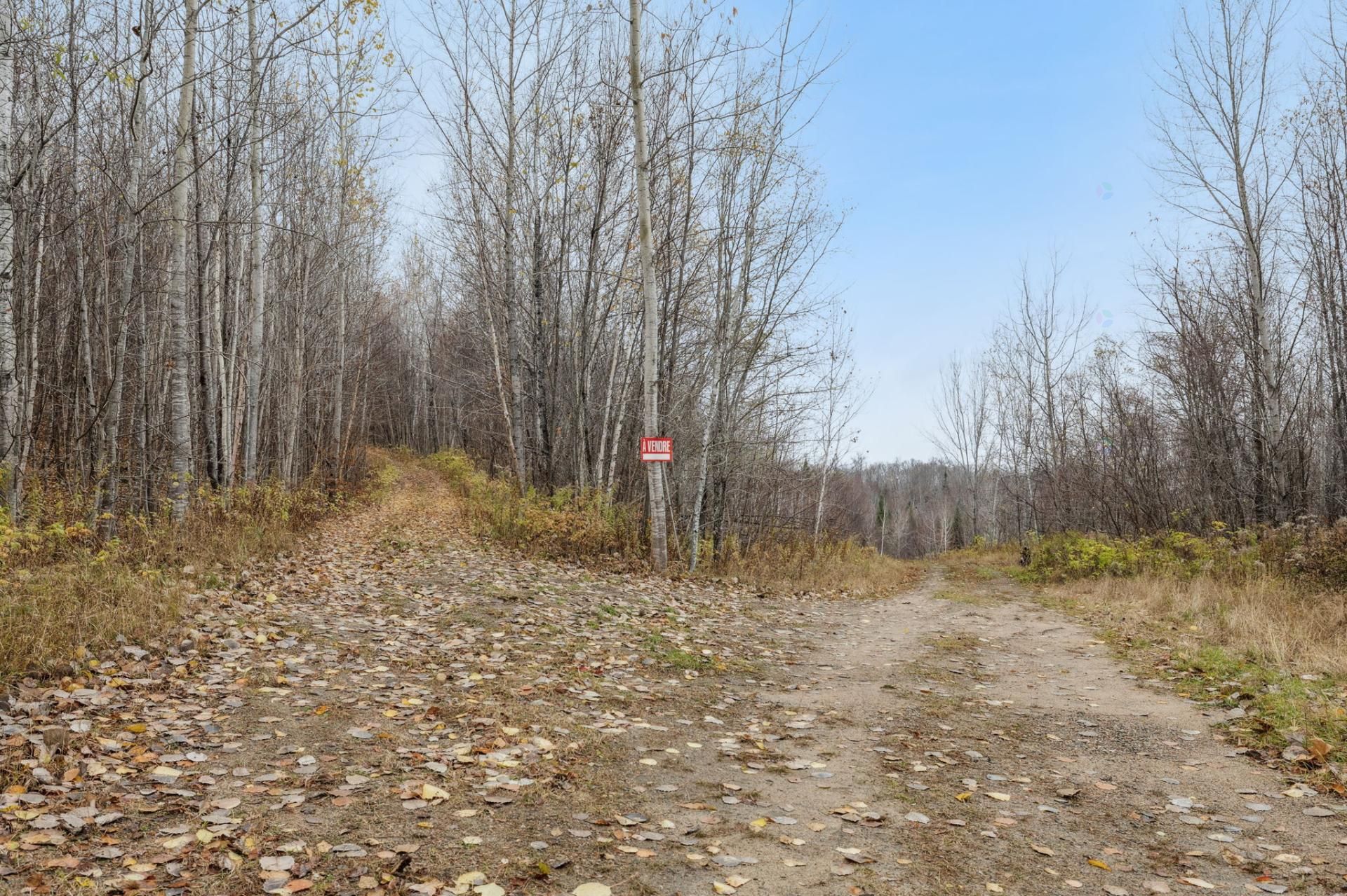 Land/Lot