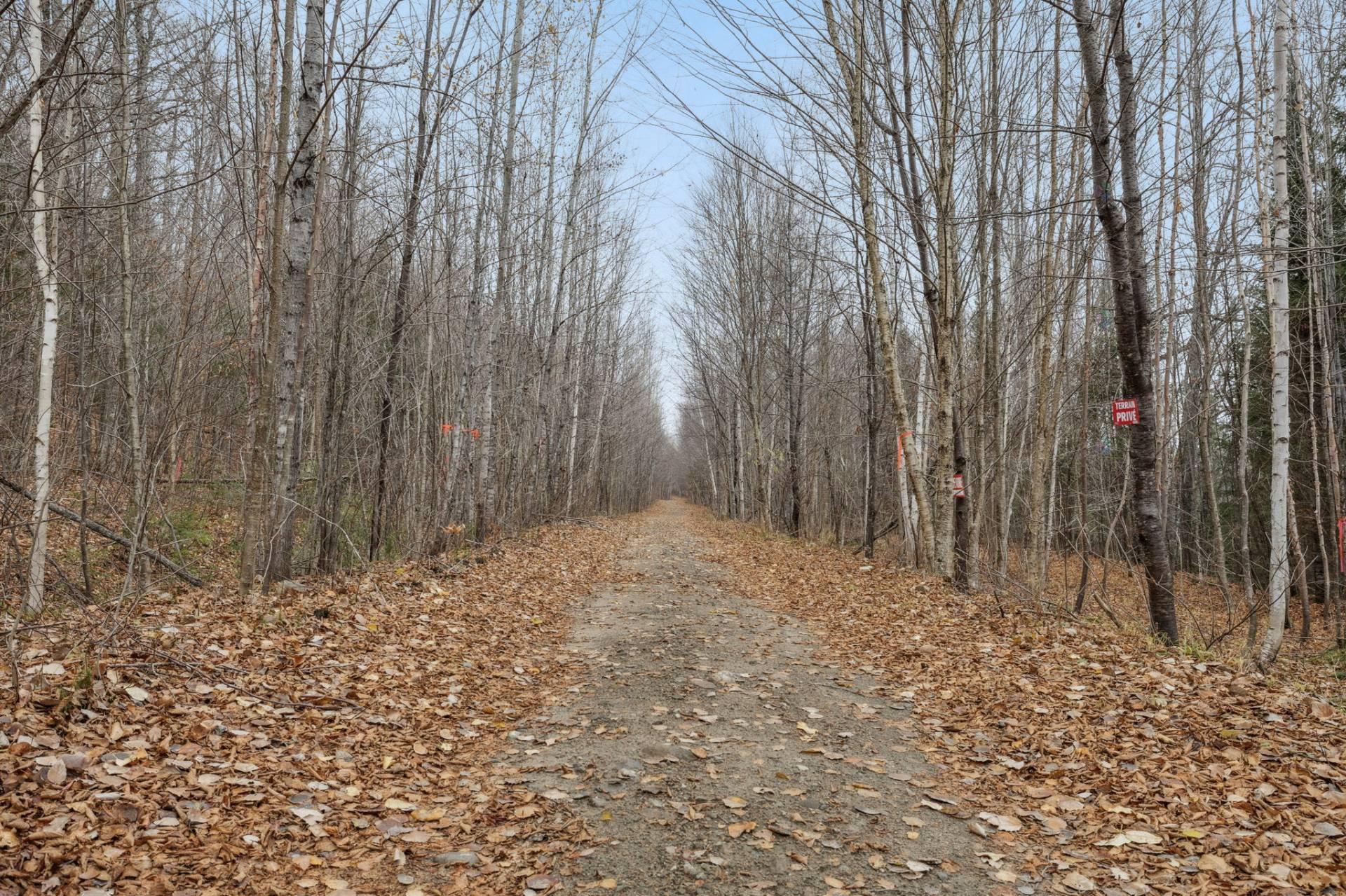 Land/Lot
