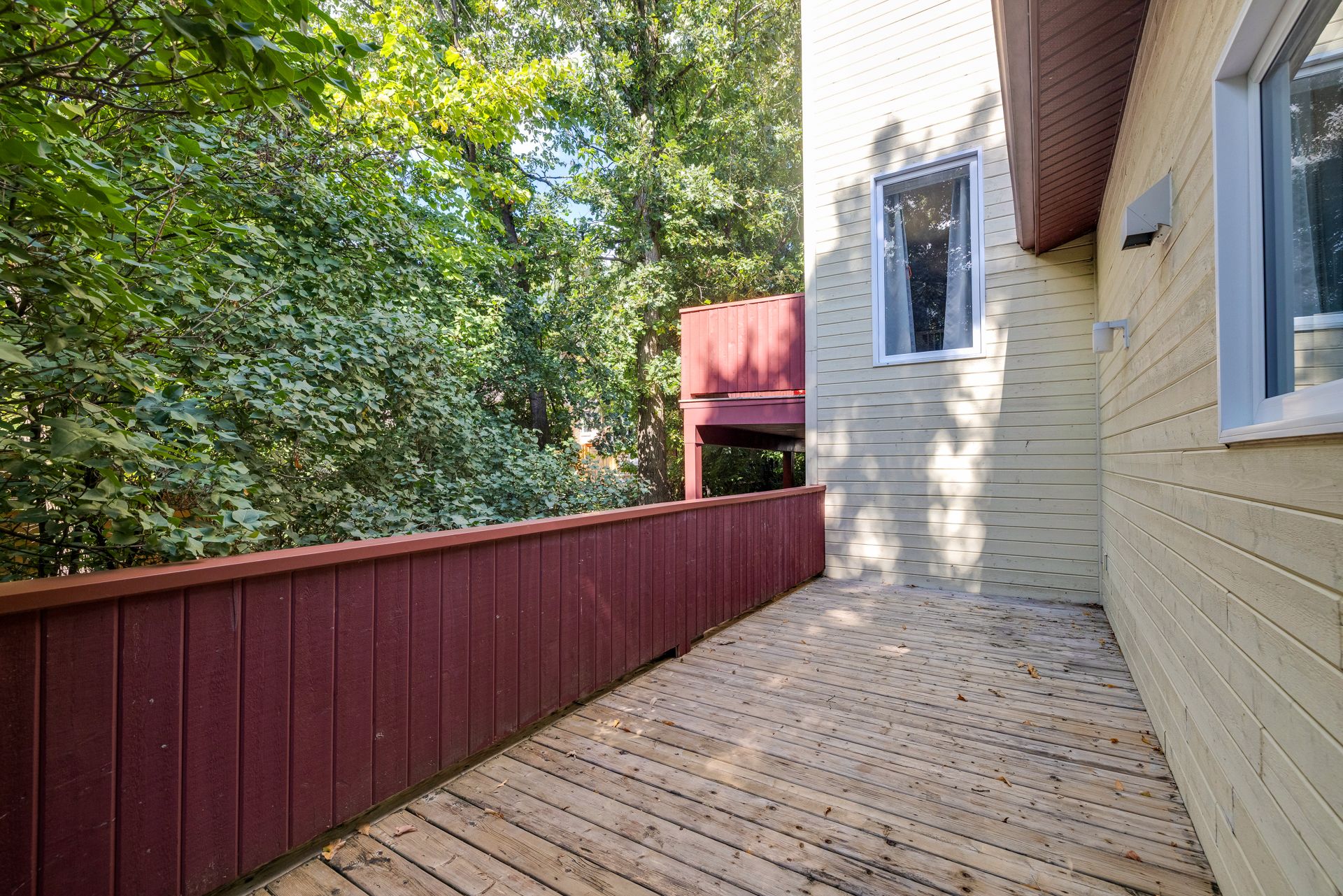 Patio - from kitchen