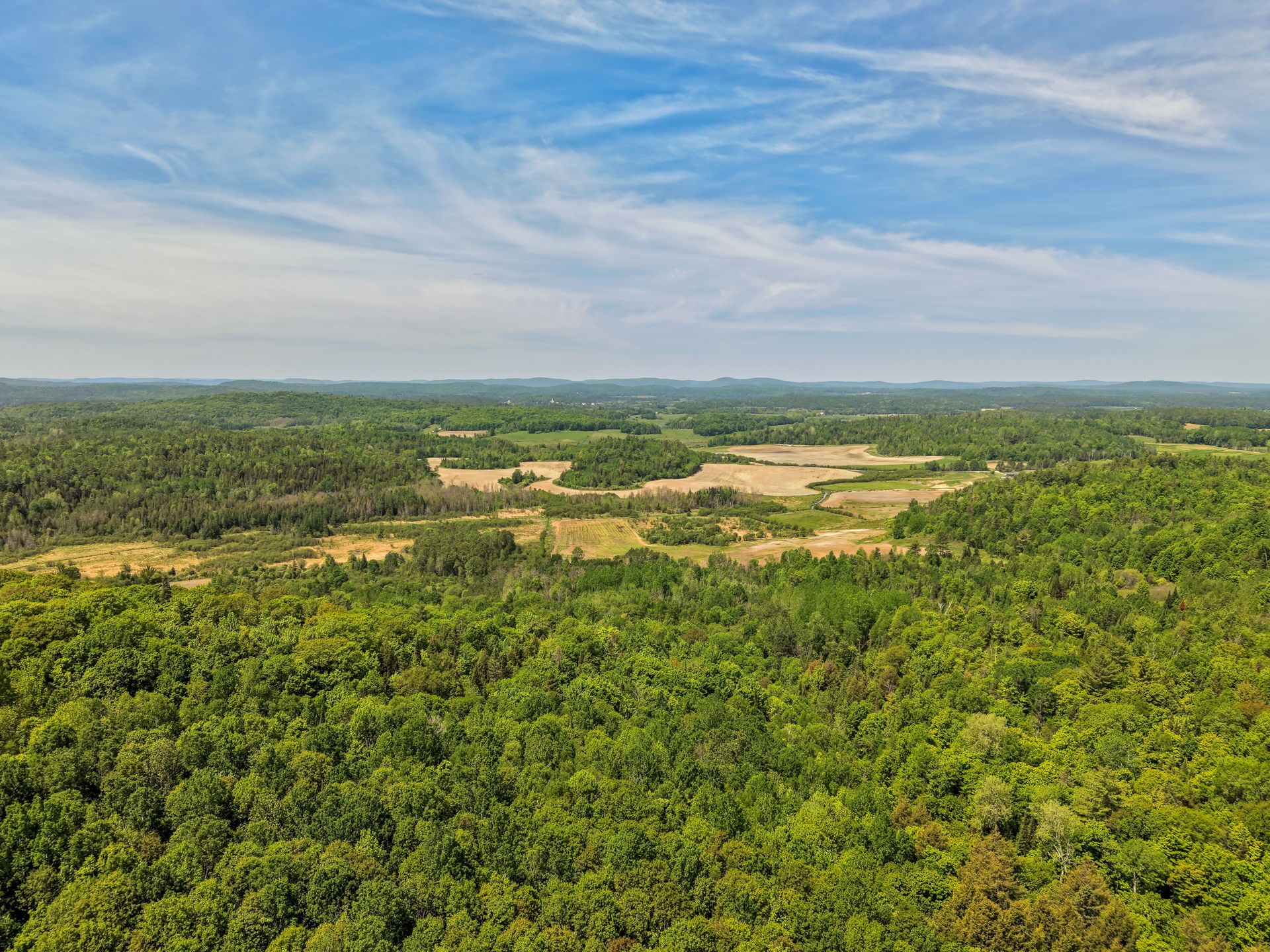 Overall View