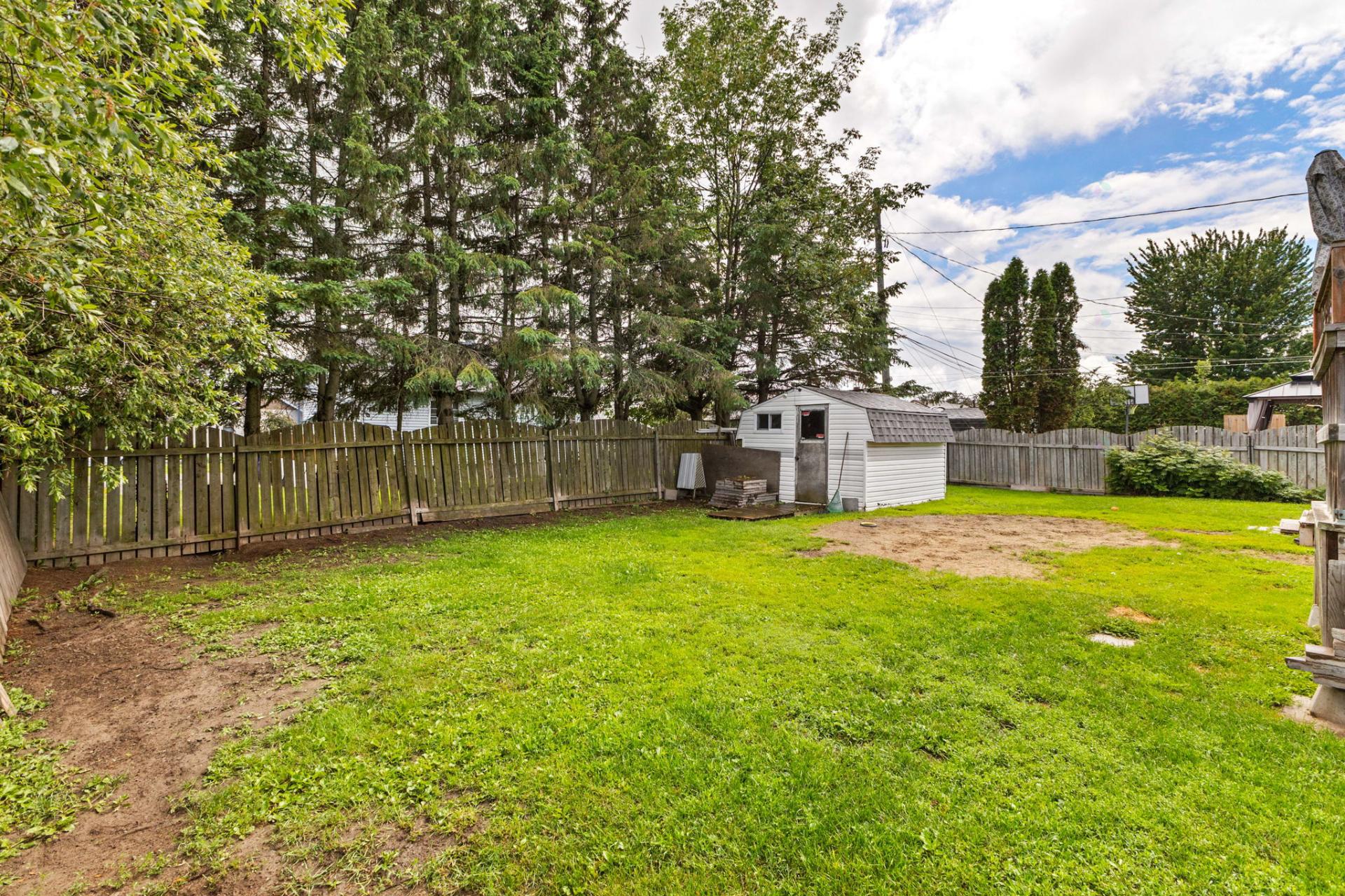 Backyard