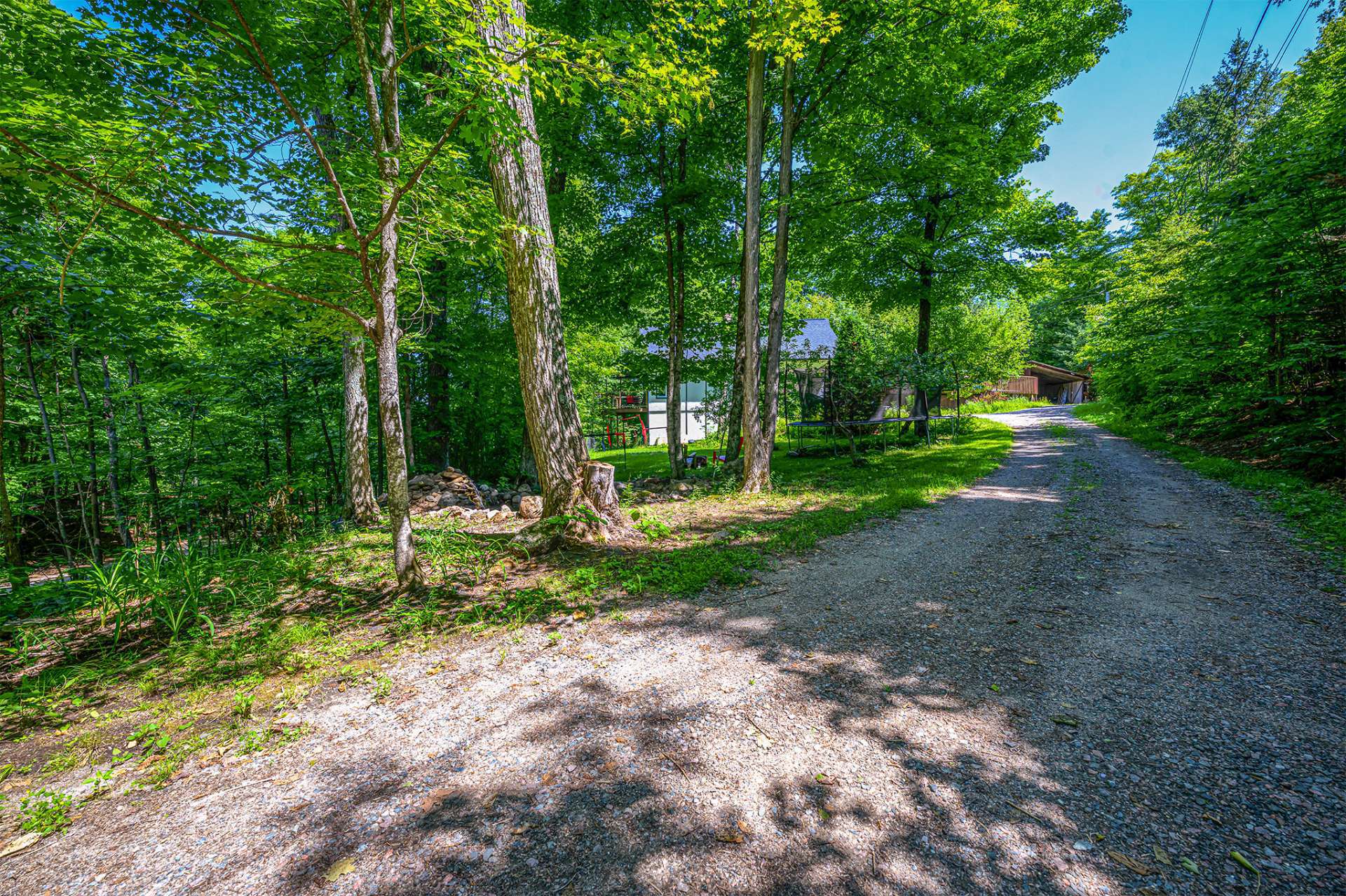 Mature tree line Driveway