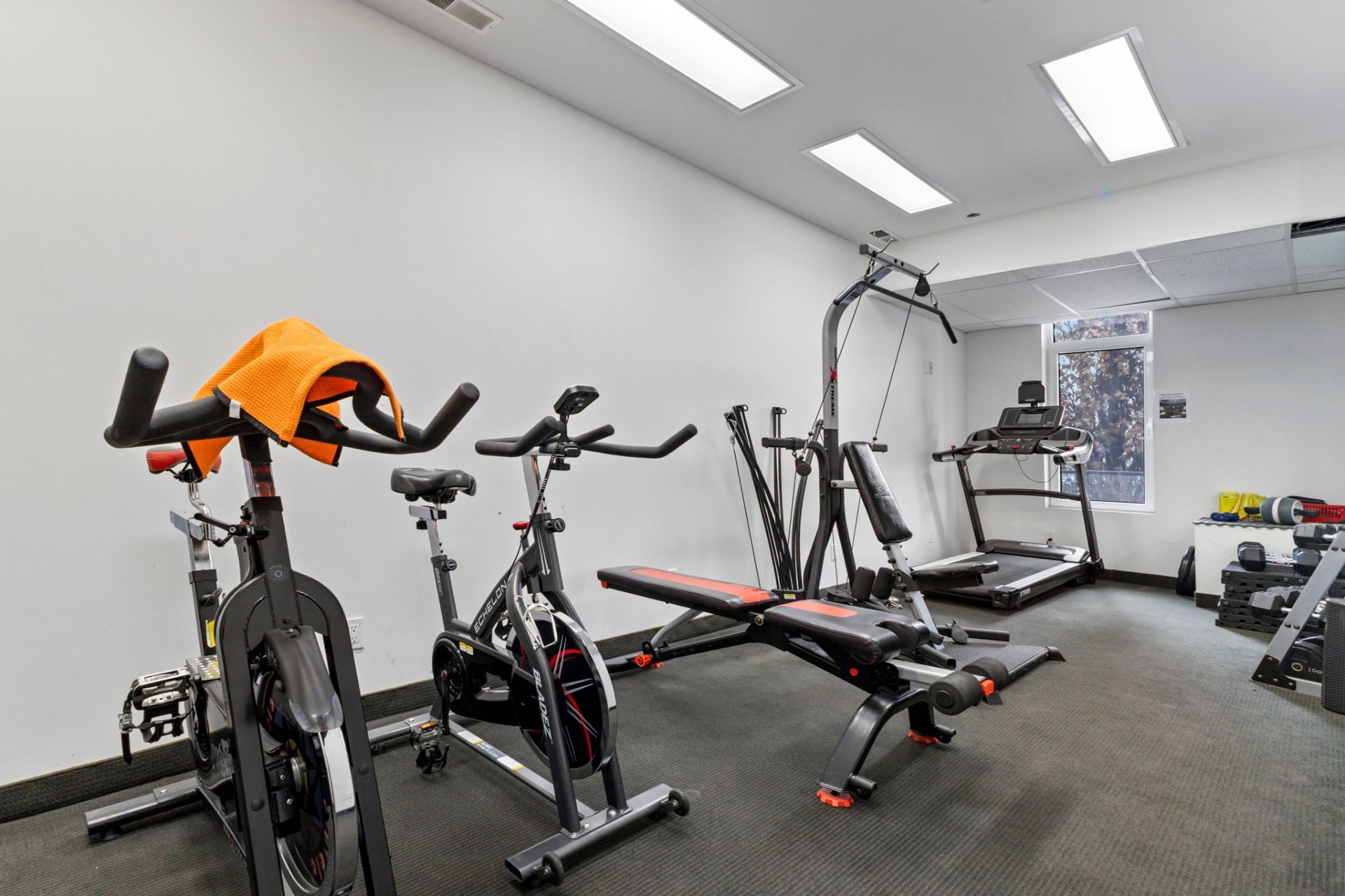 Salle d'exercice