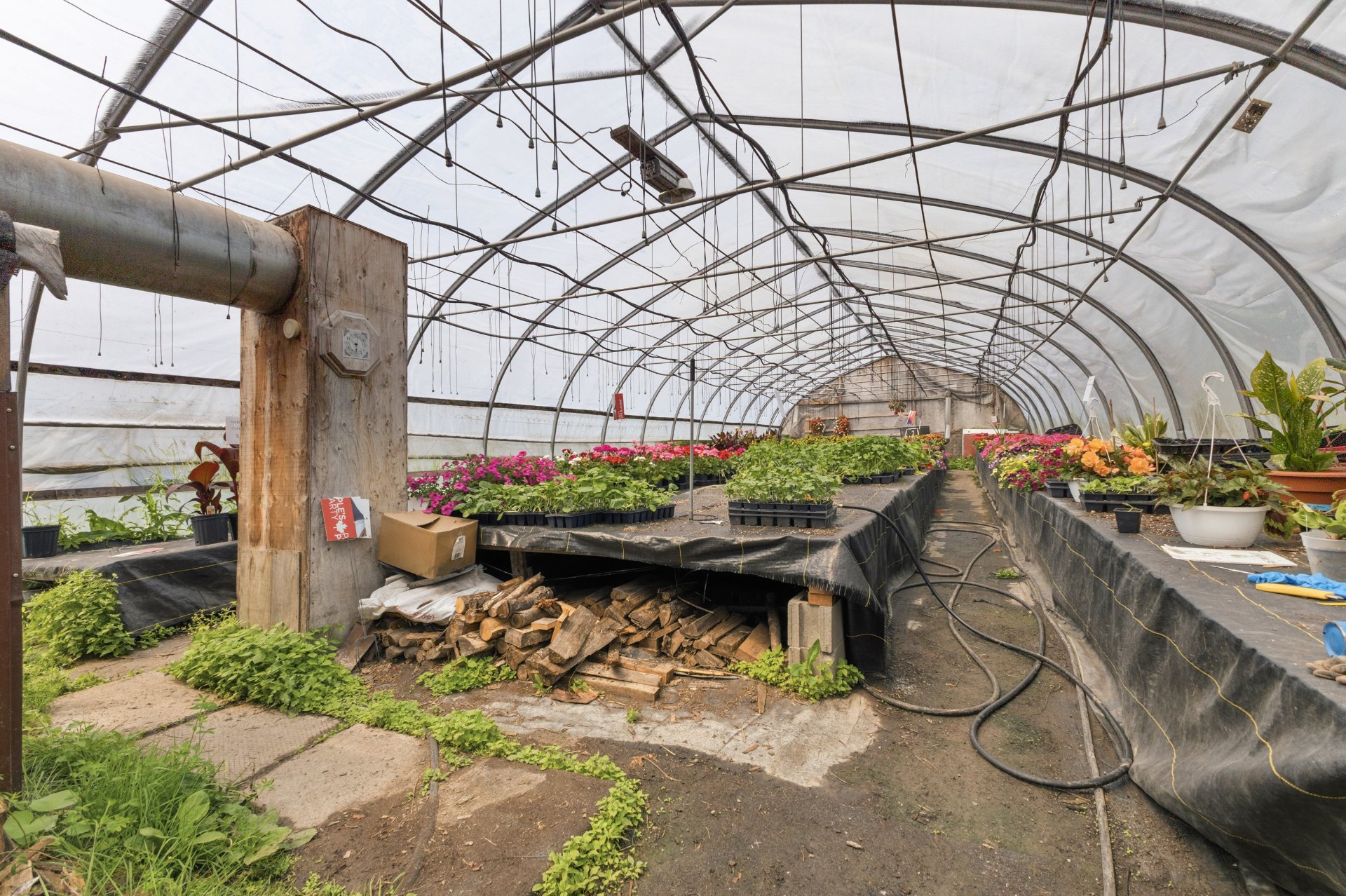Greenhouse