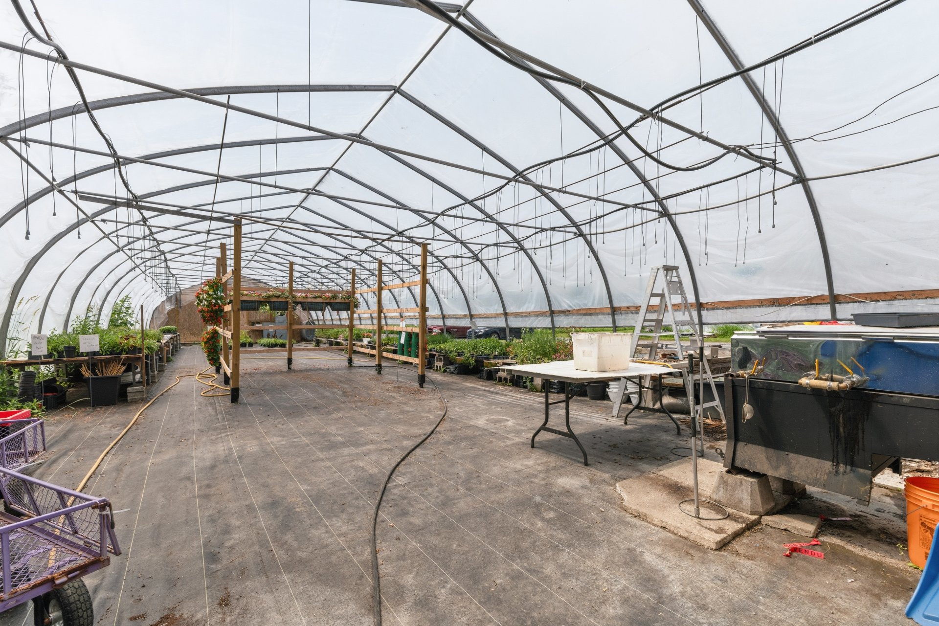 Greenhouse