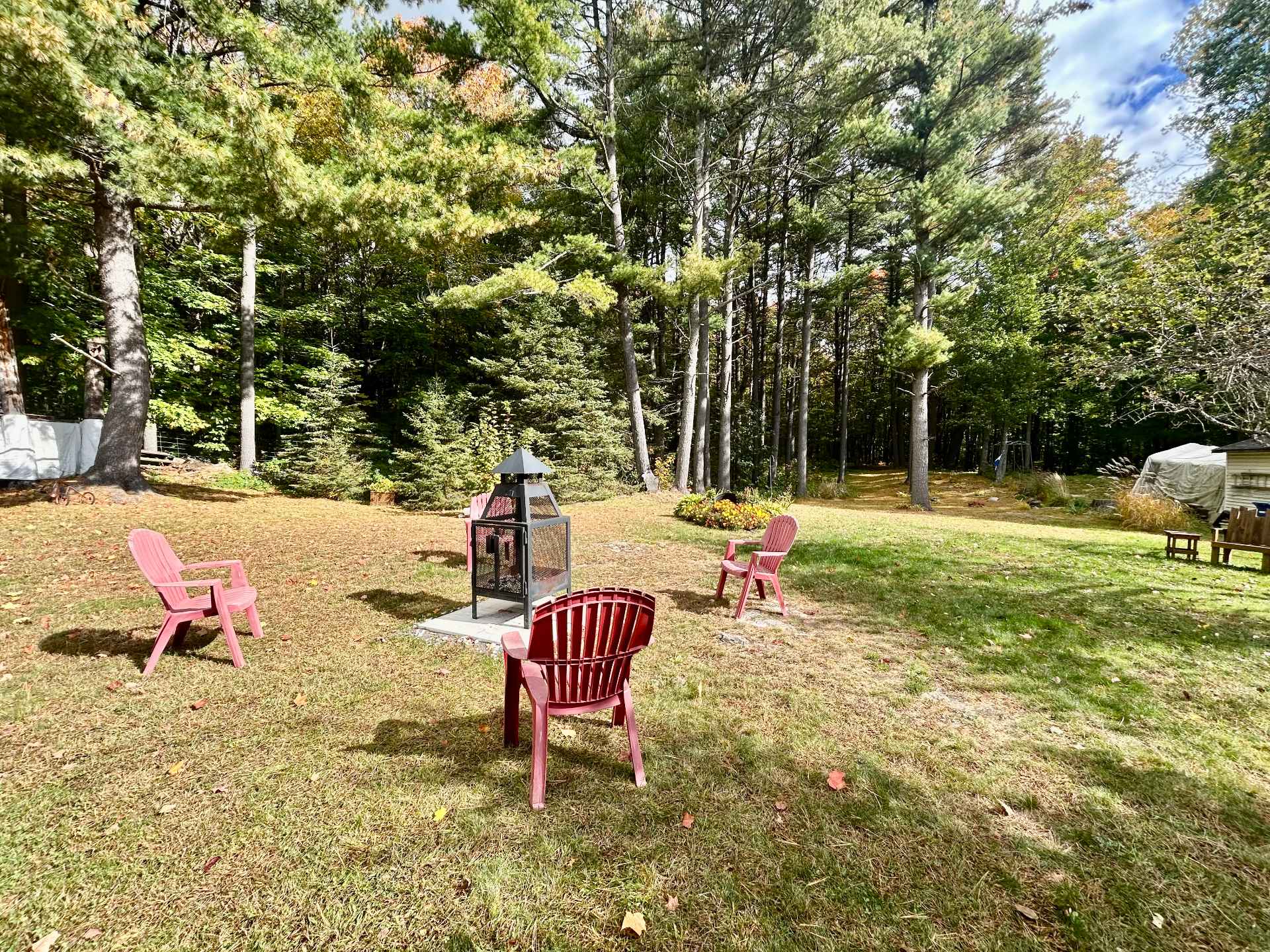 Backyard