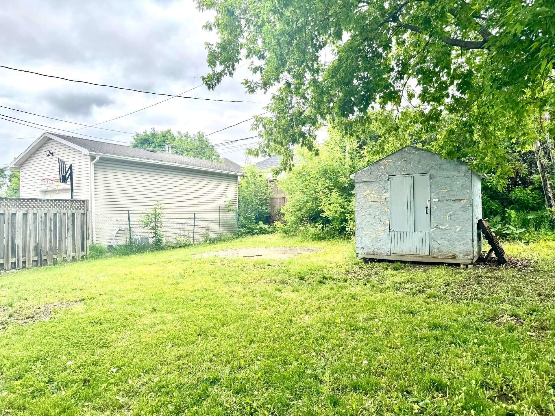 Backyard
