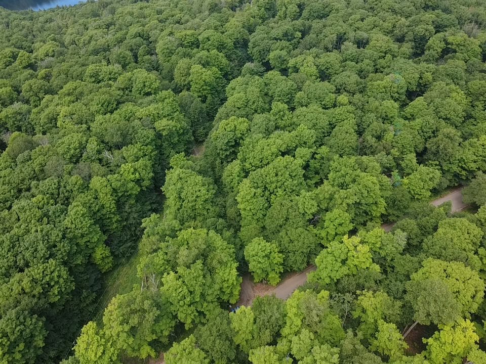 Vue aérienne