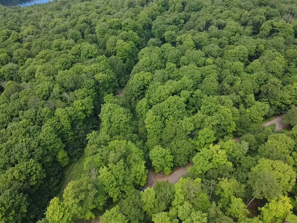 Aerial photo