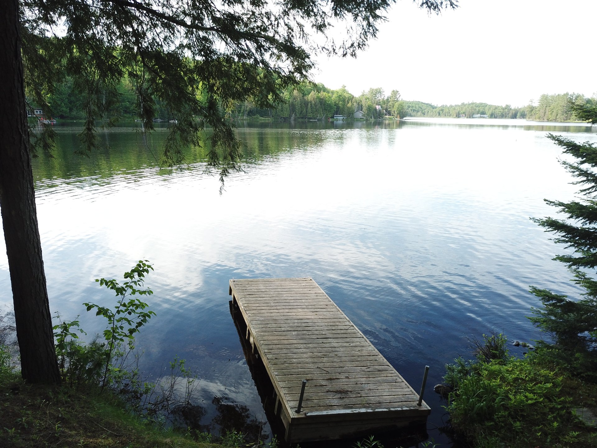 Vue sur l'eau