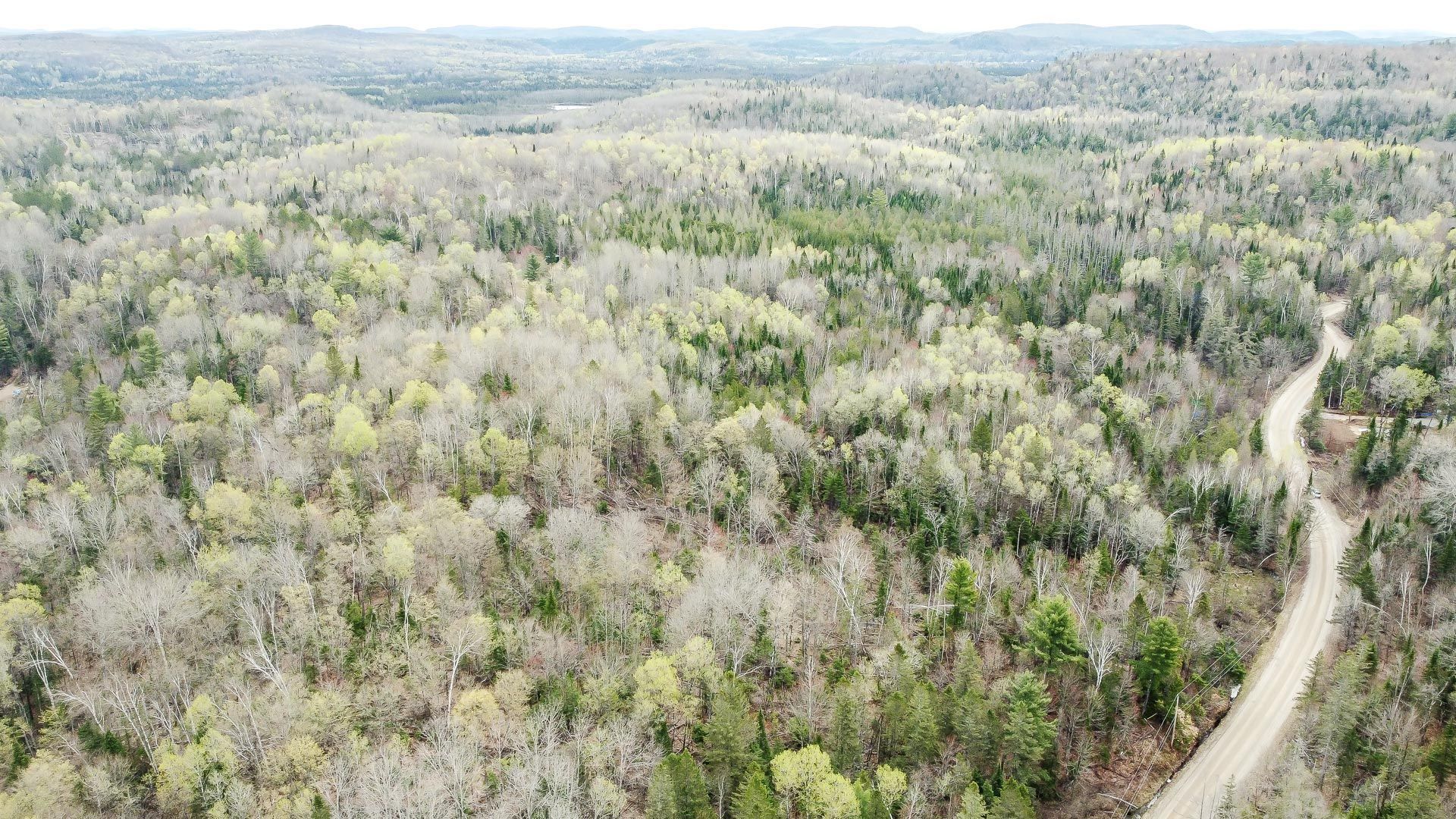 Overall view