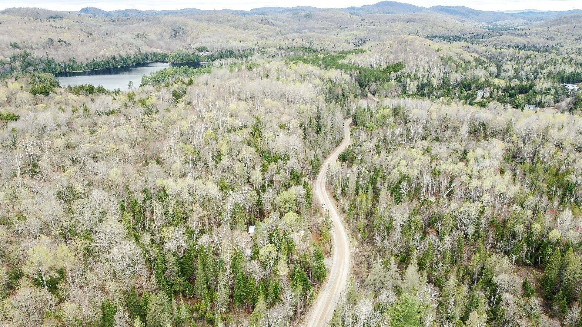 Overall view