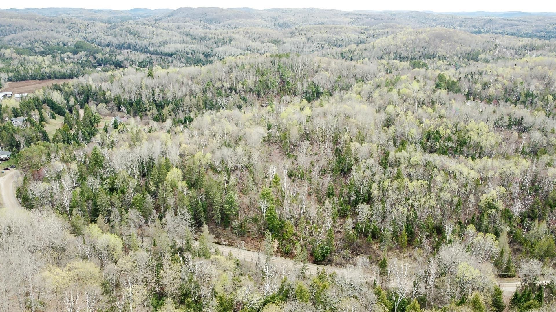 Overall view