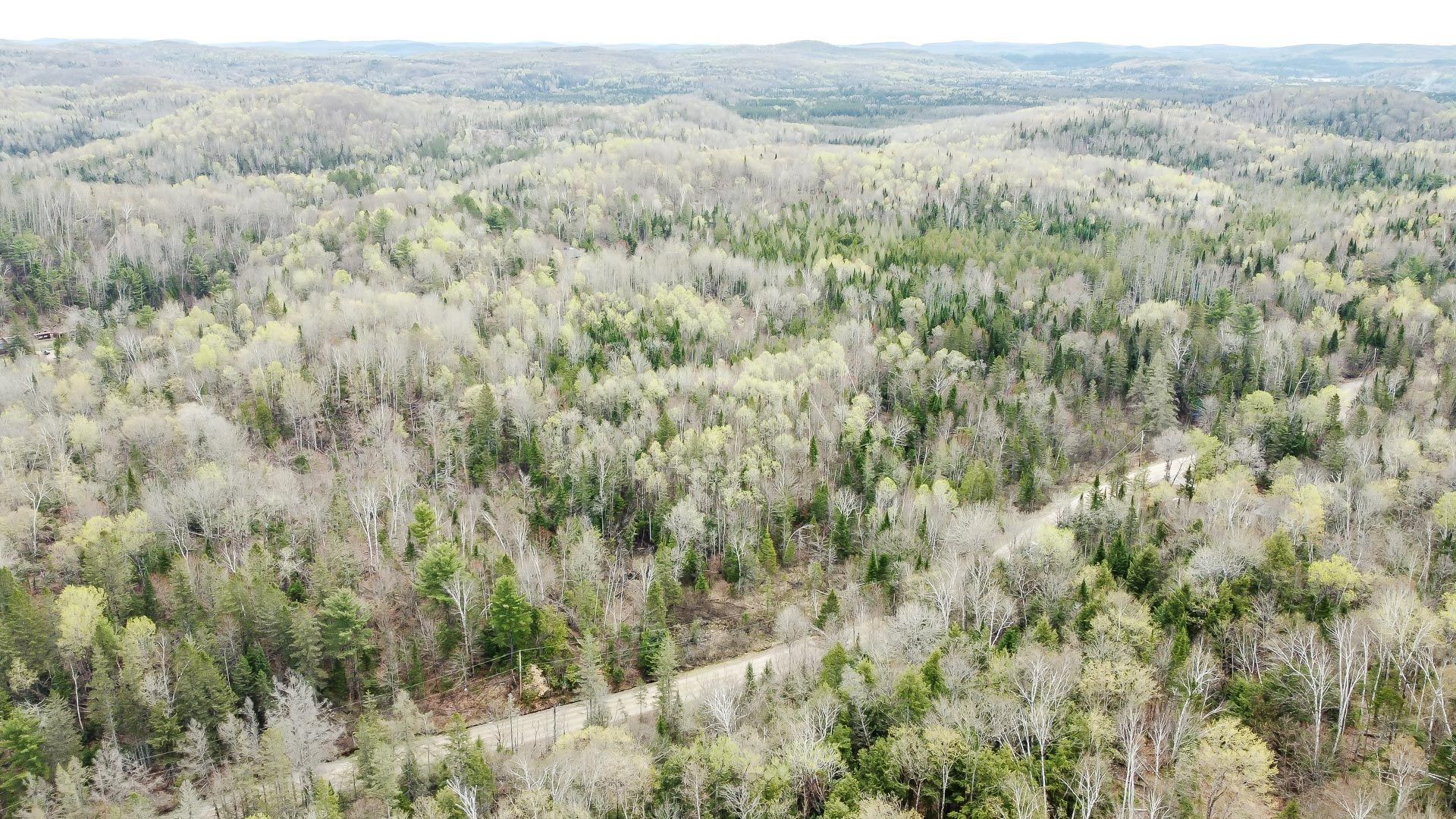 Overall view