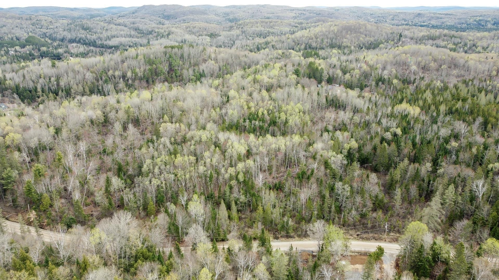 Overall view