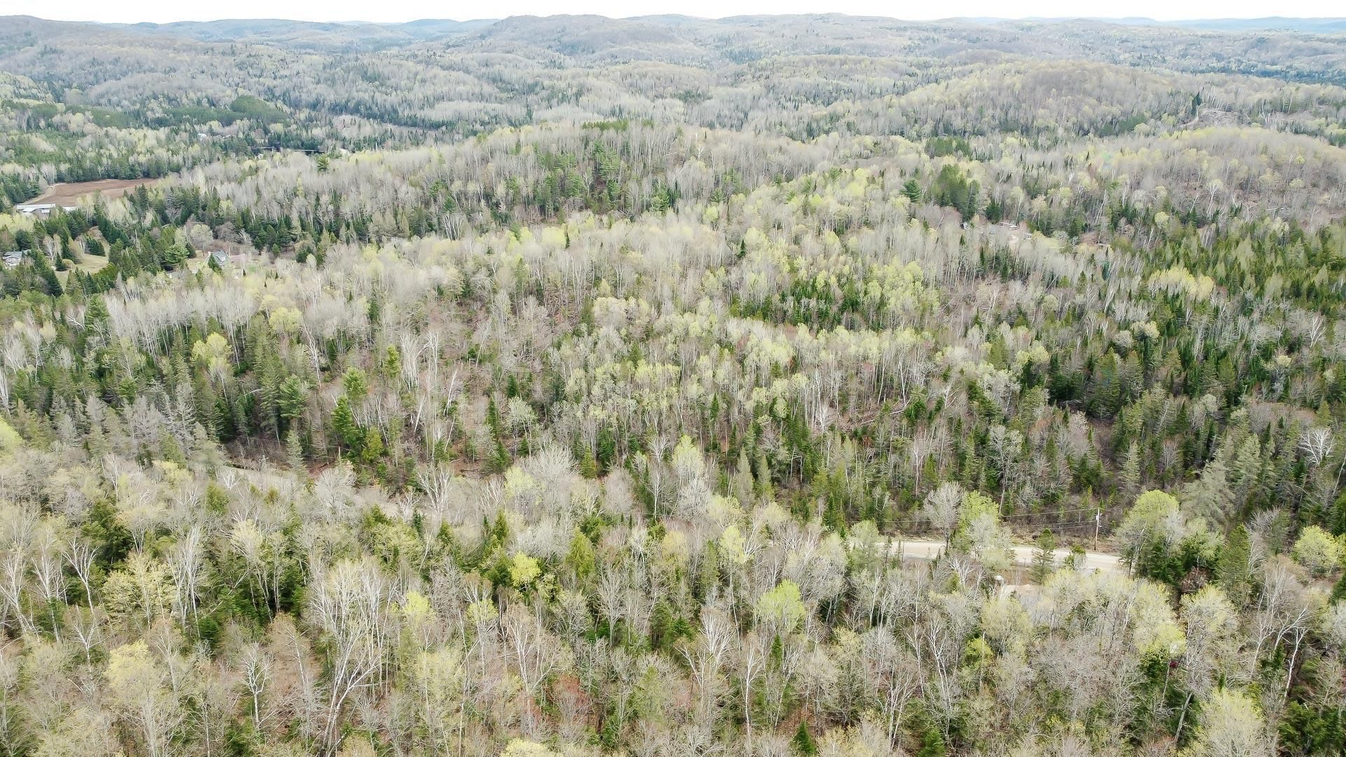 Overall view