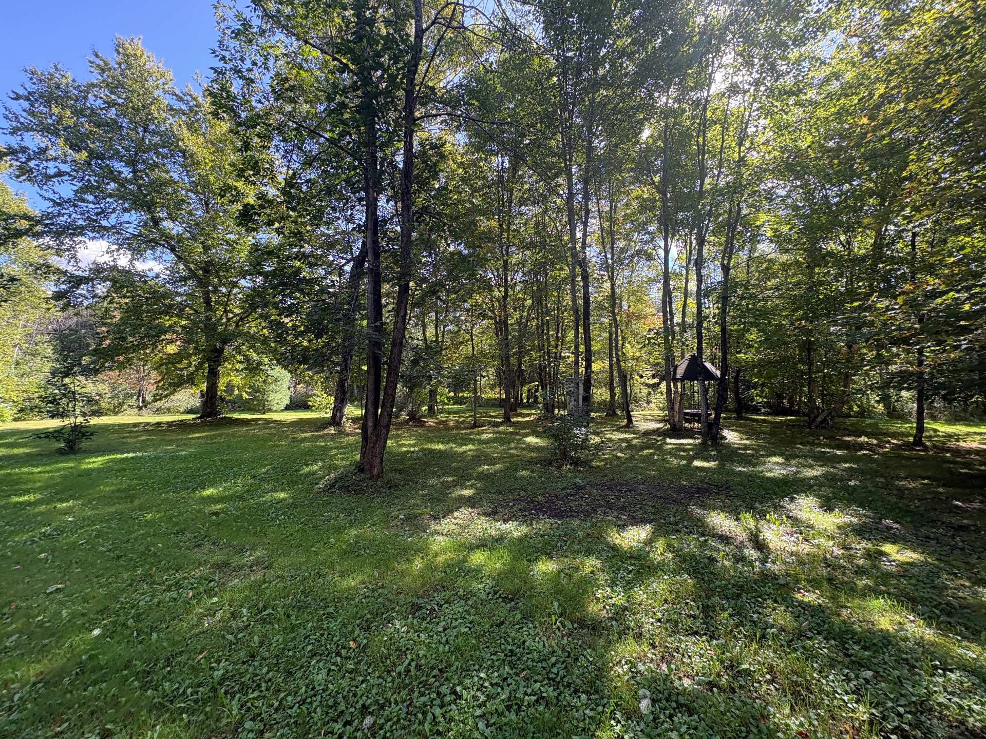 Land/Lot