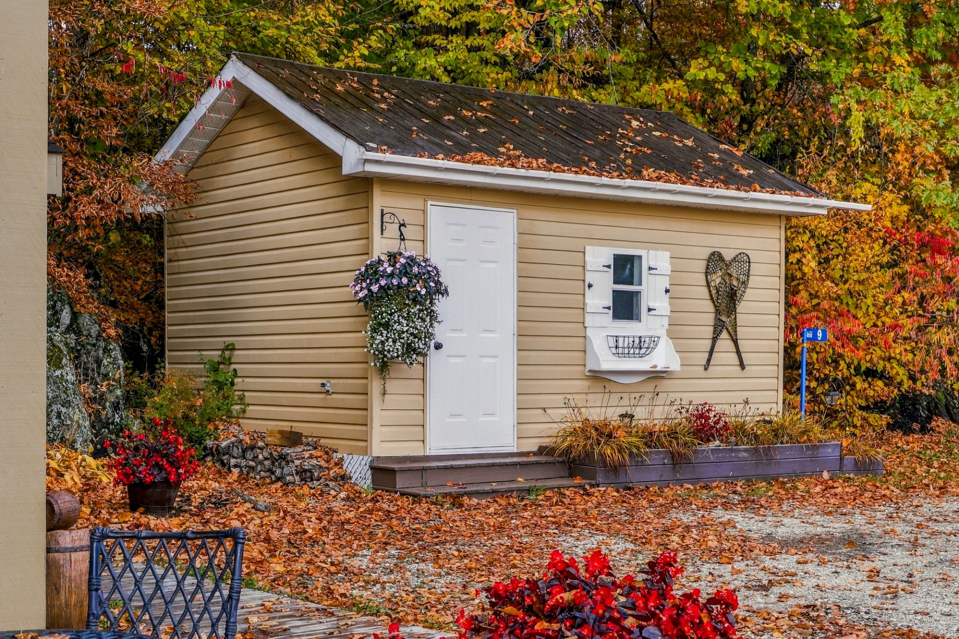 Shed