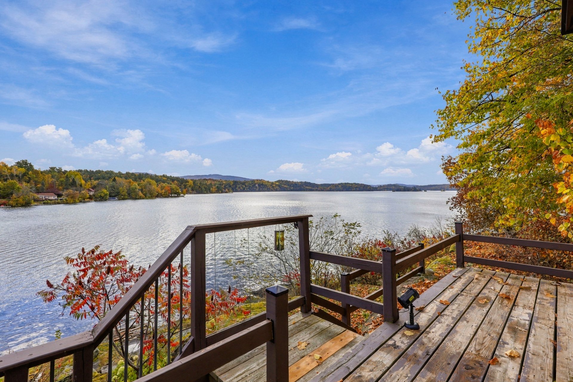view from the patio