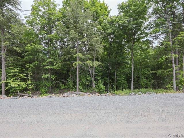 Land/Lot