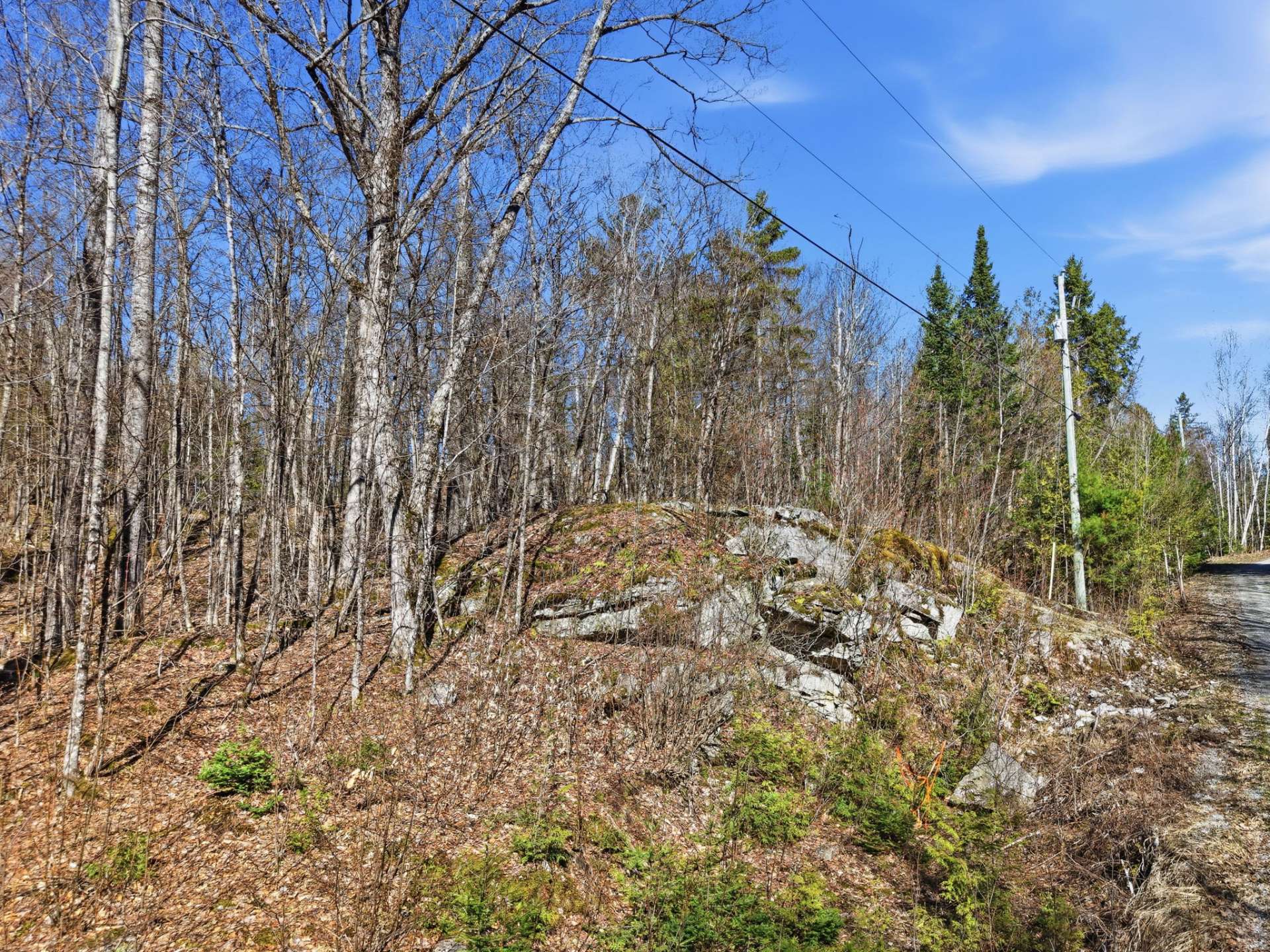 Land/Lot