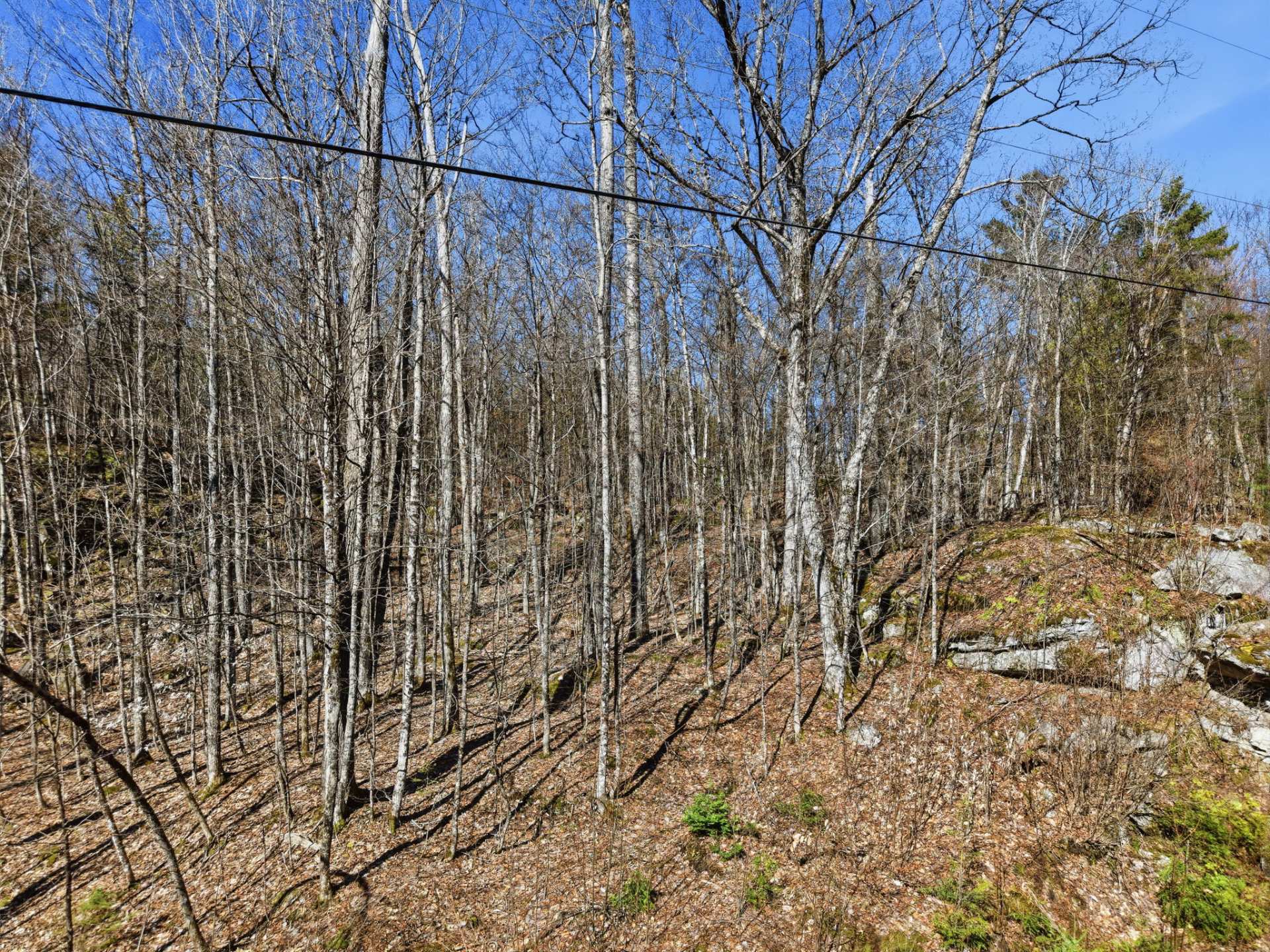 Land/Lot