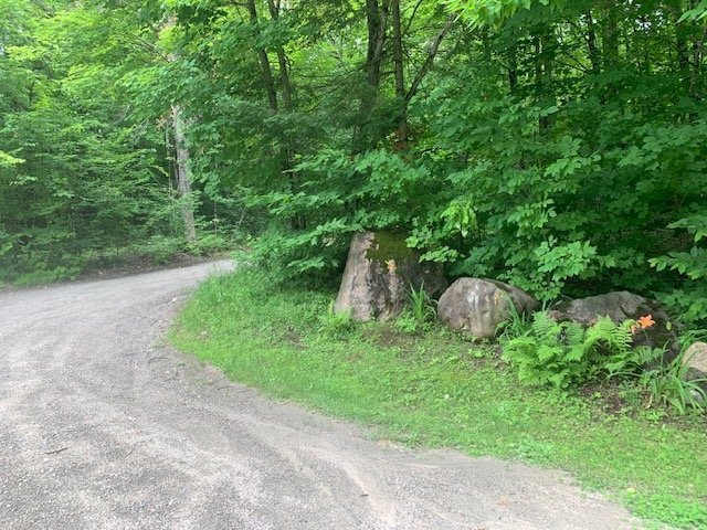 Photo en été