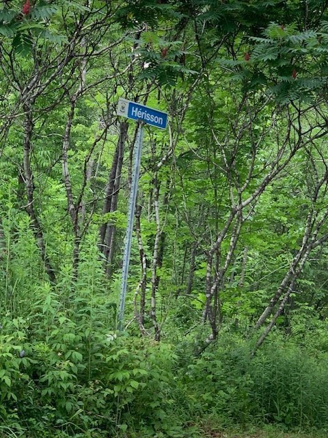 du côté du Ch Hérisson