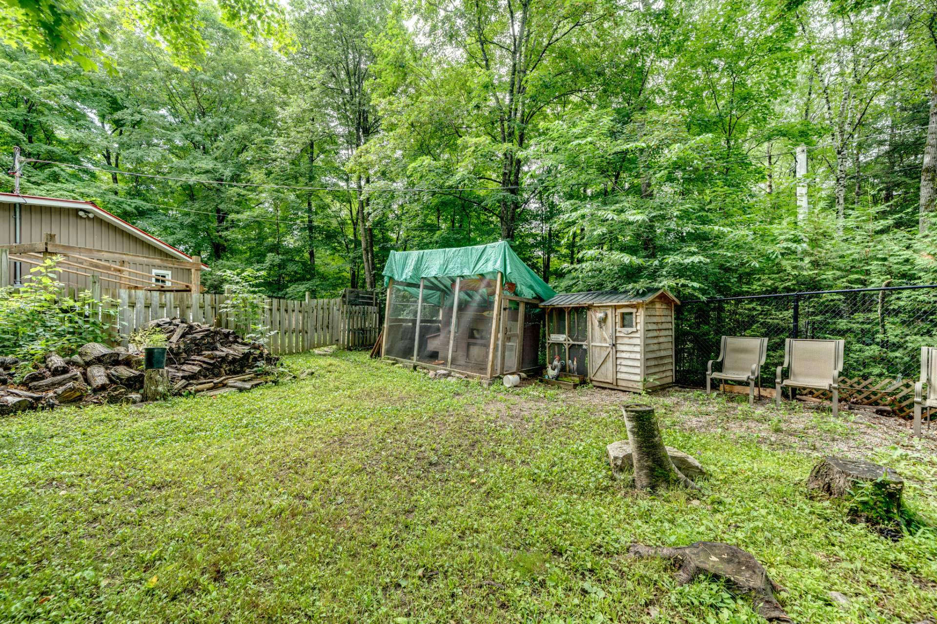 Backyard