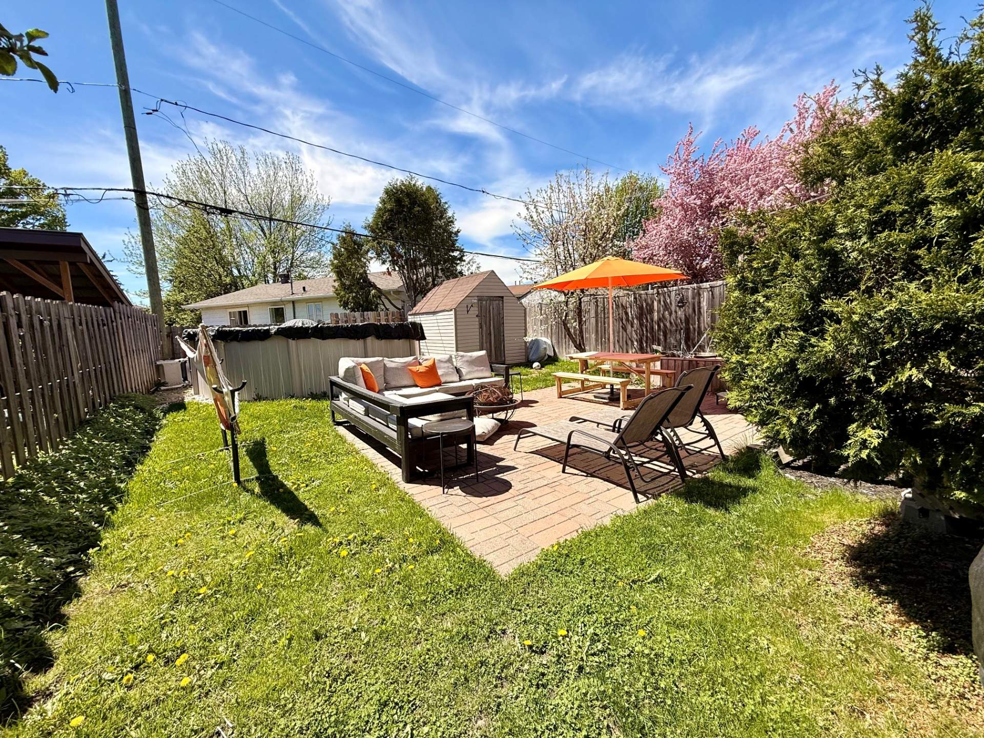 Backyard