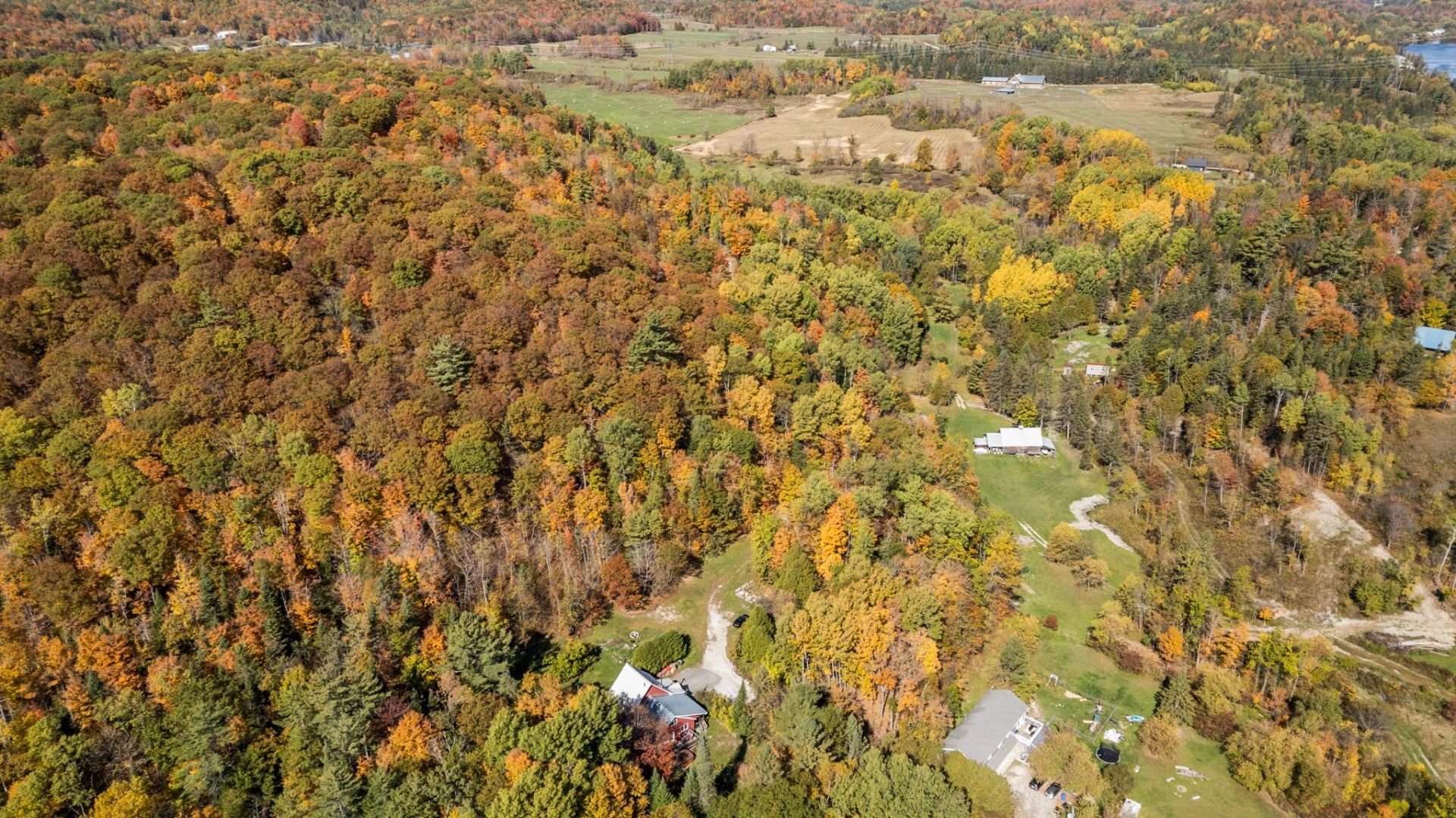 Aerial photo