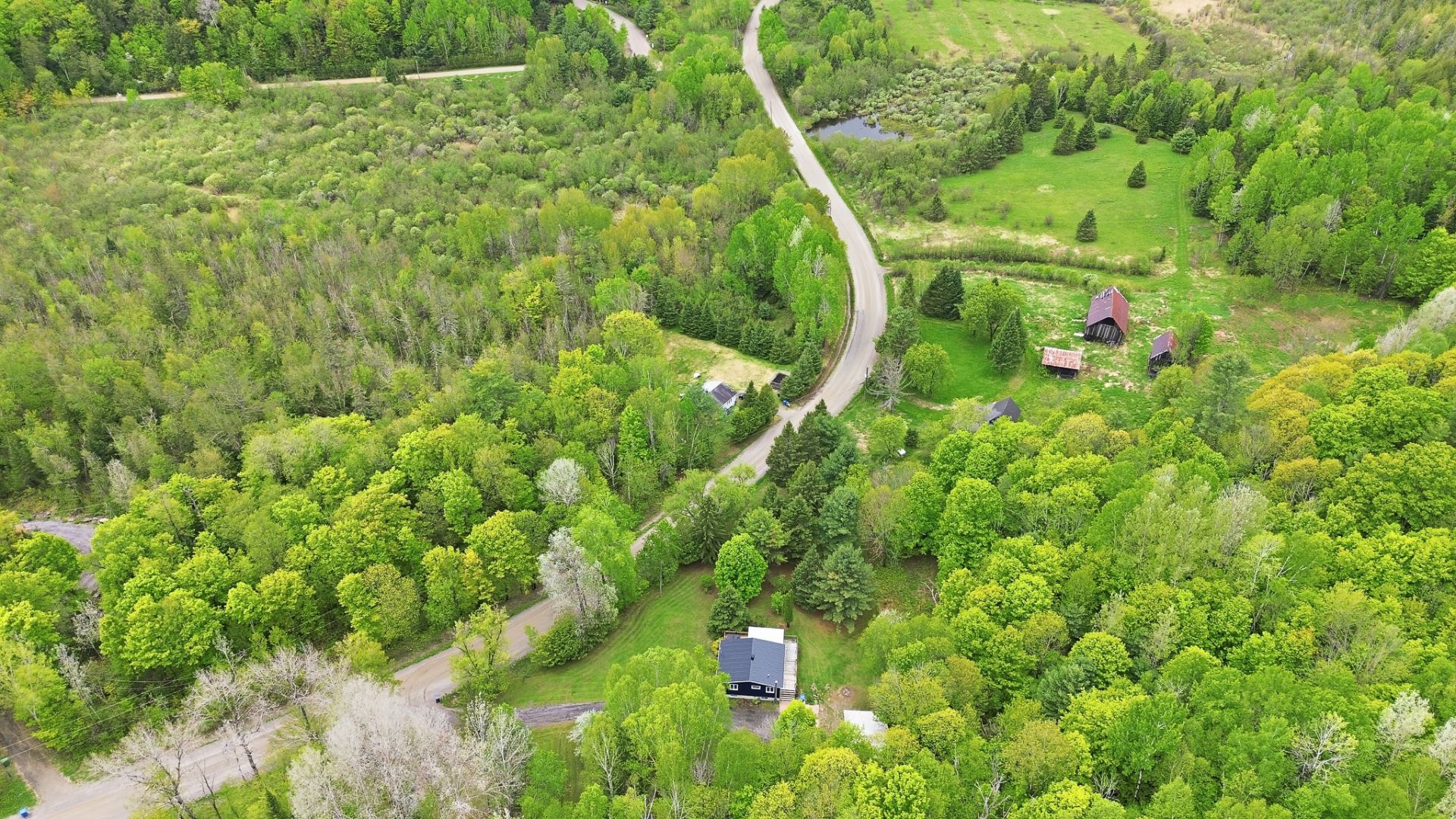 Overall View