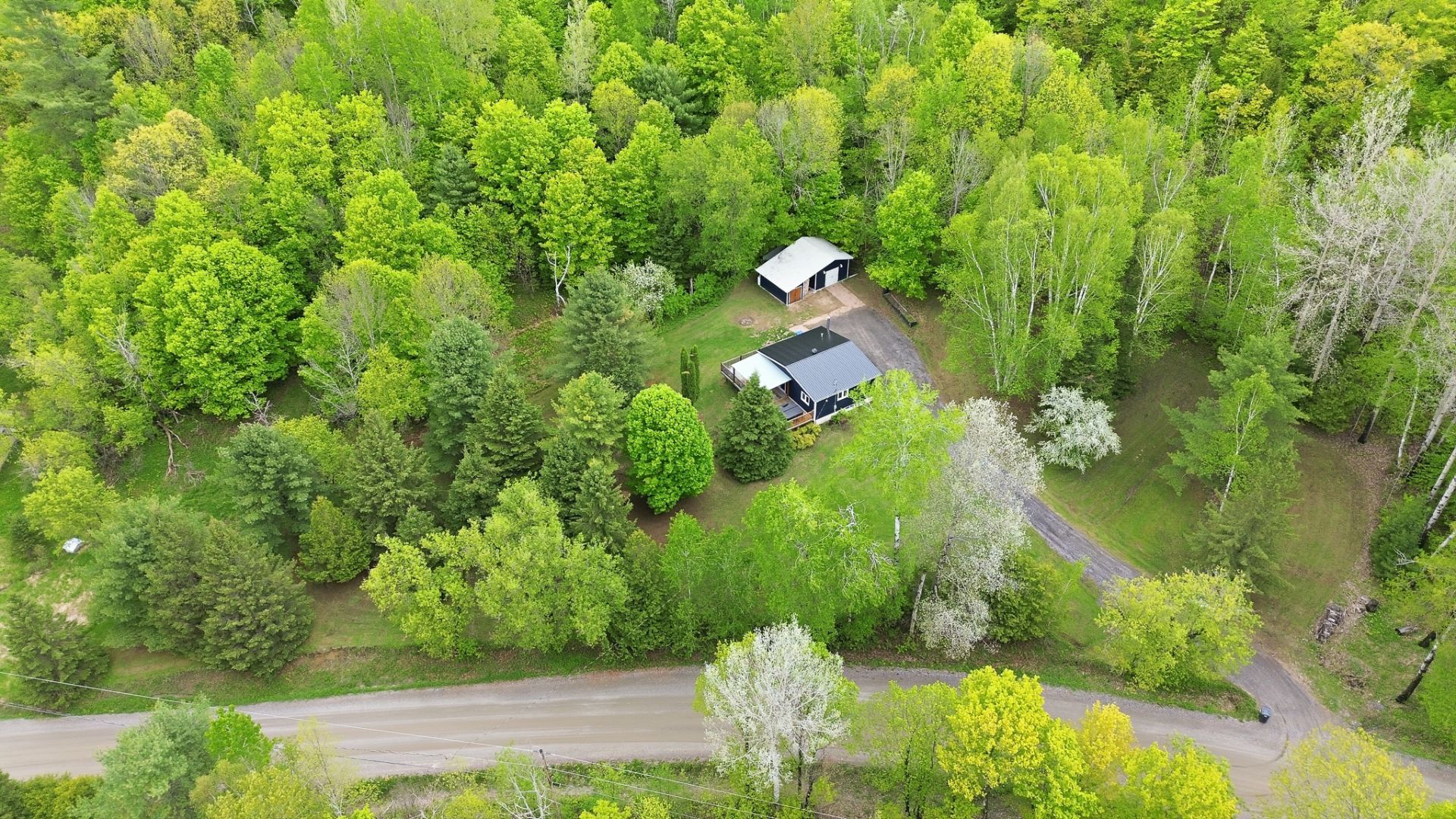 Overall View