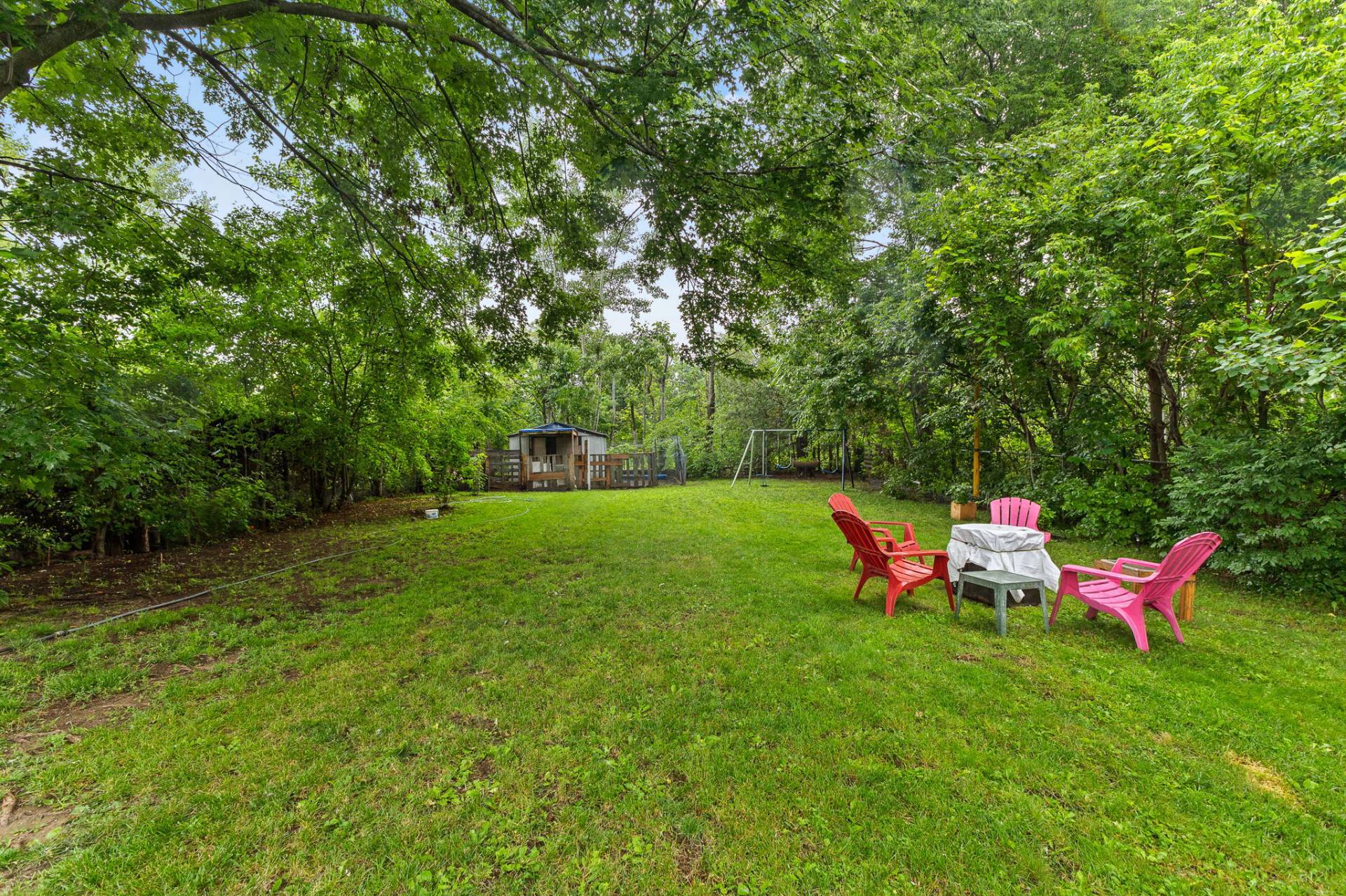 Backyard