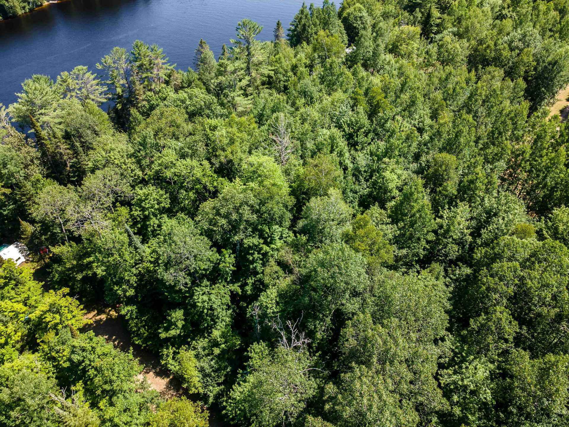 6.9 acres