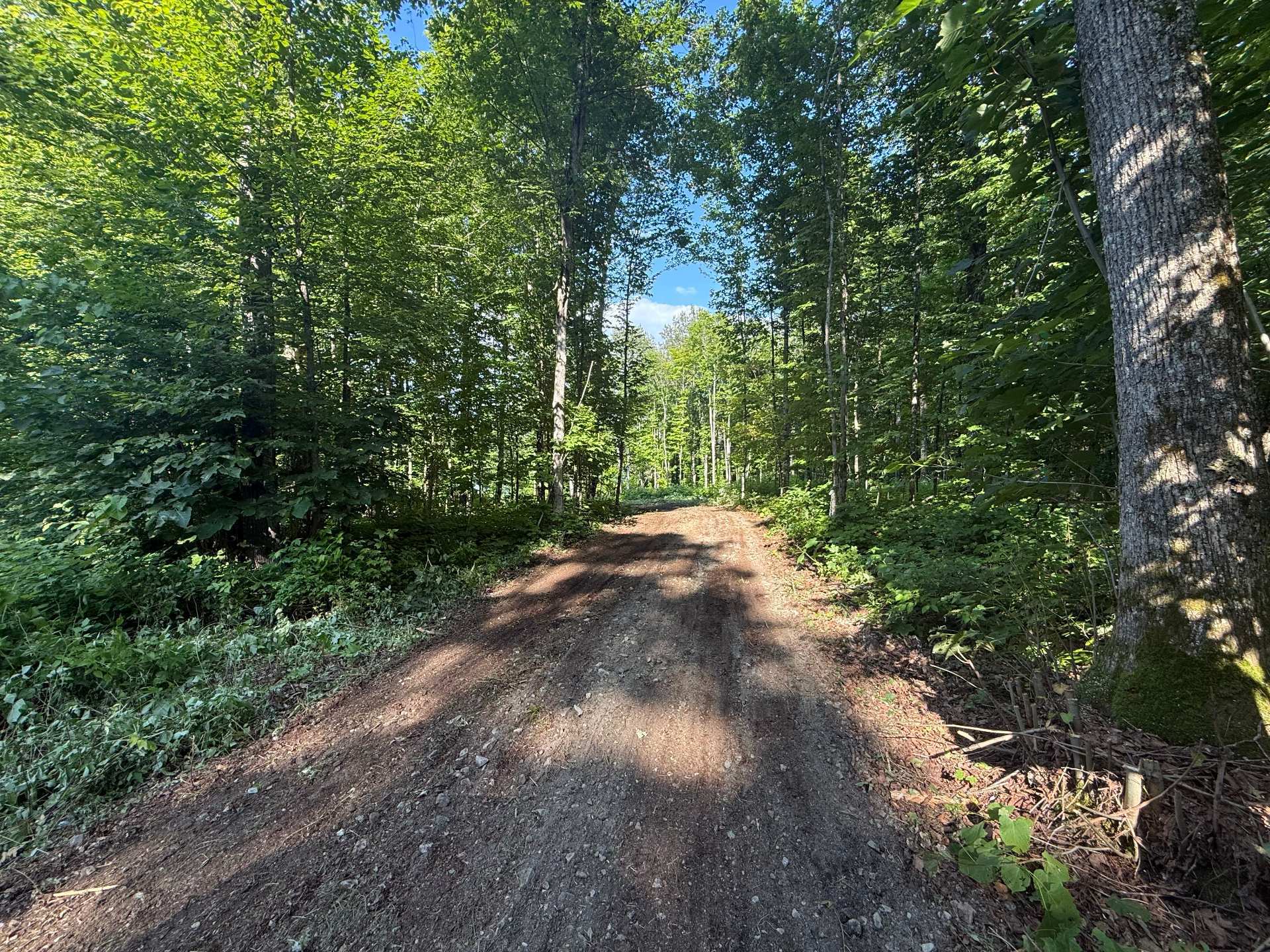 Land/Lot