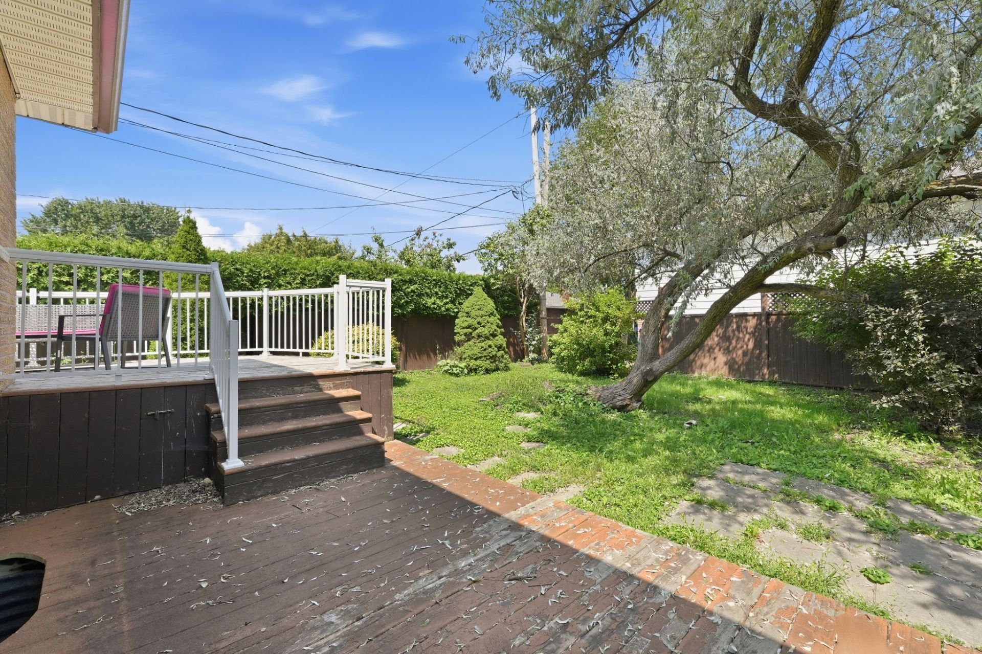 Backyard